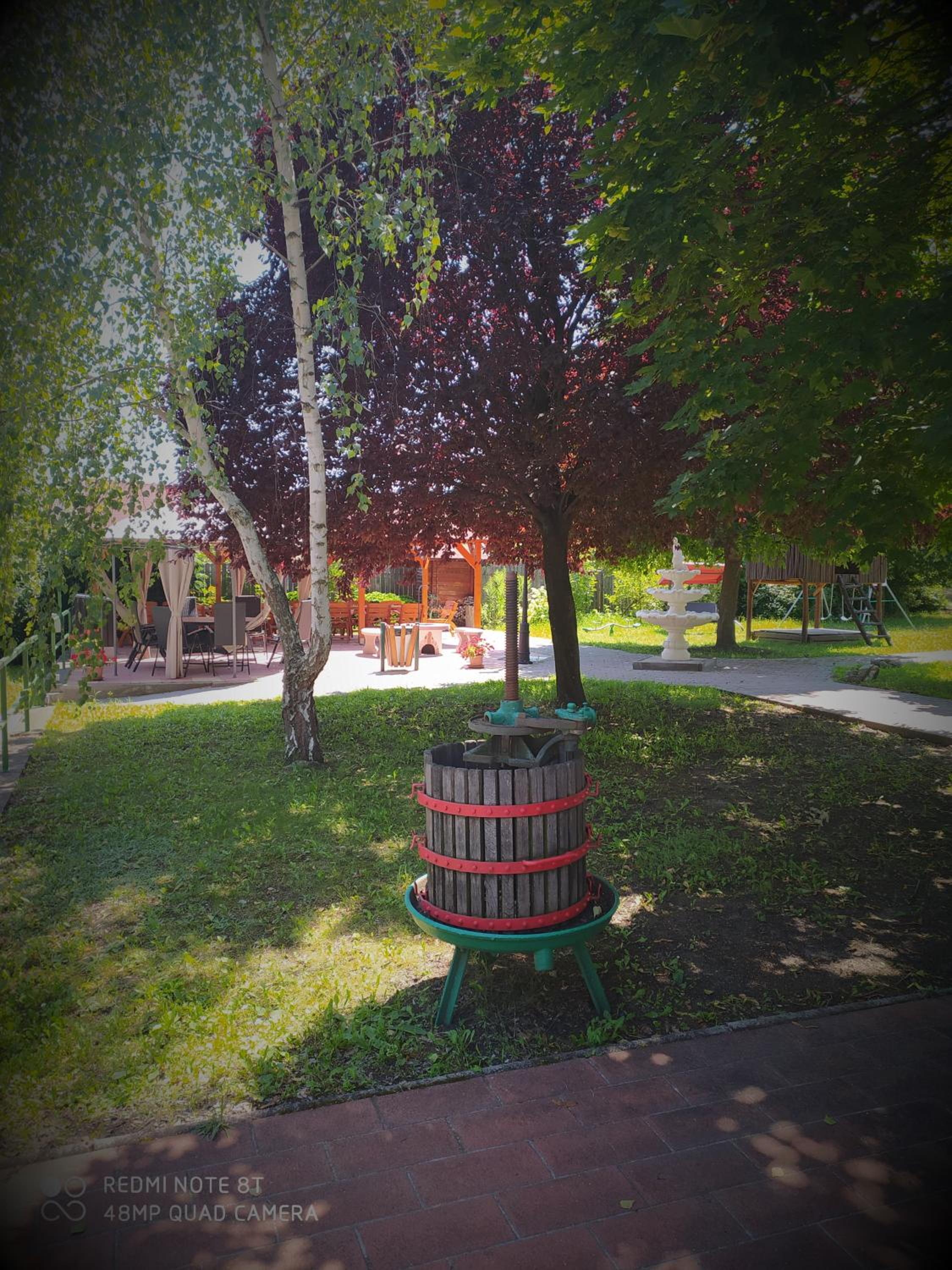 Photo 15