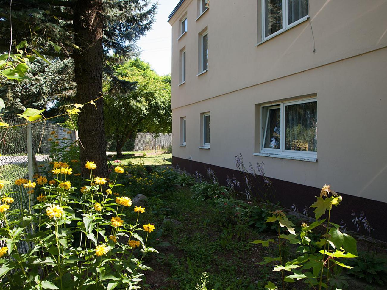 Photo 24
