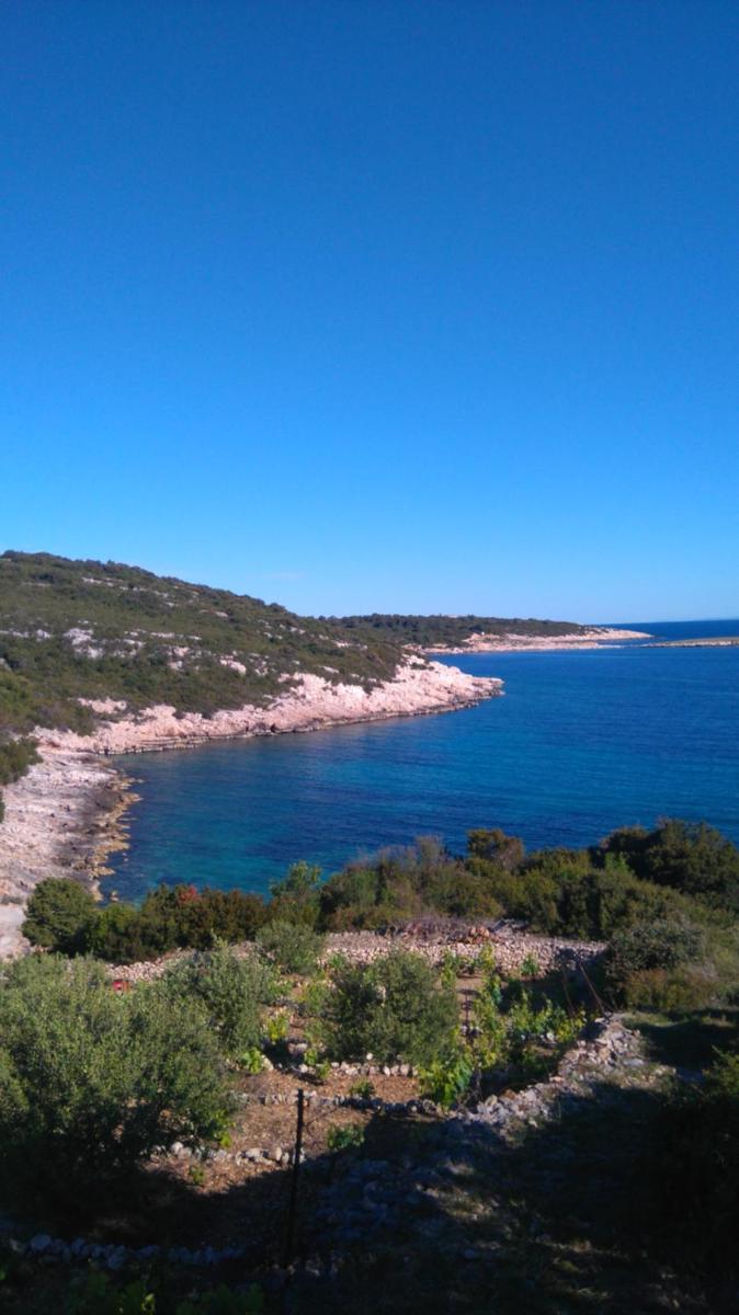 Moja posebna kuća na osami kraj mora view 4