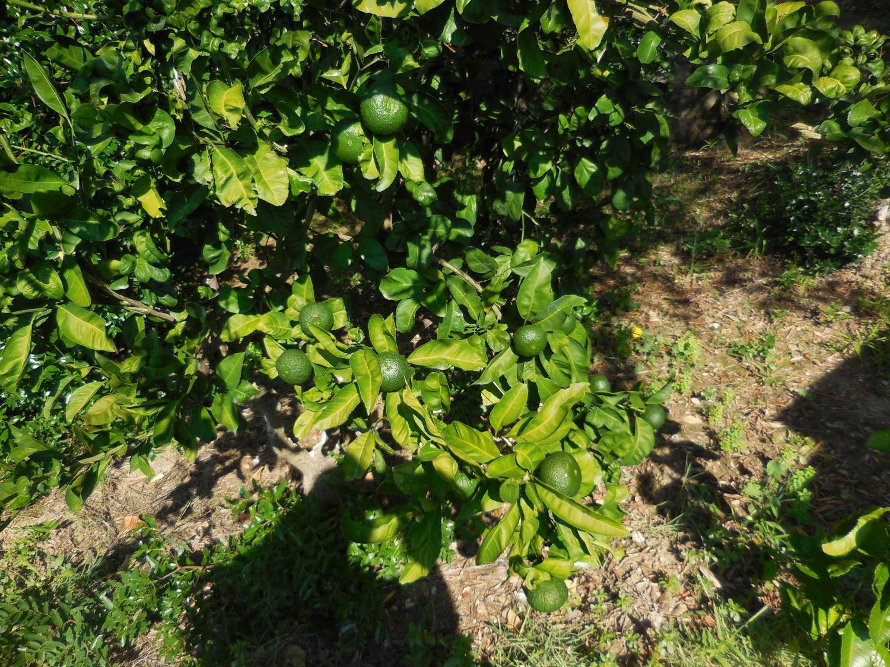 Photo 26