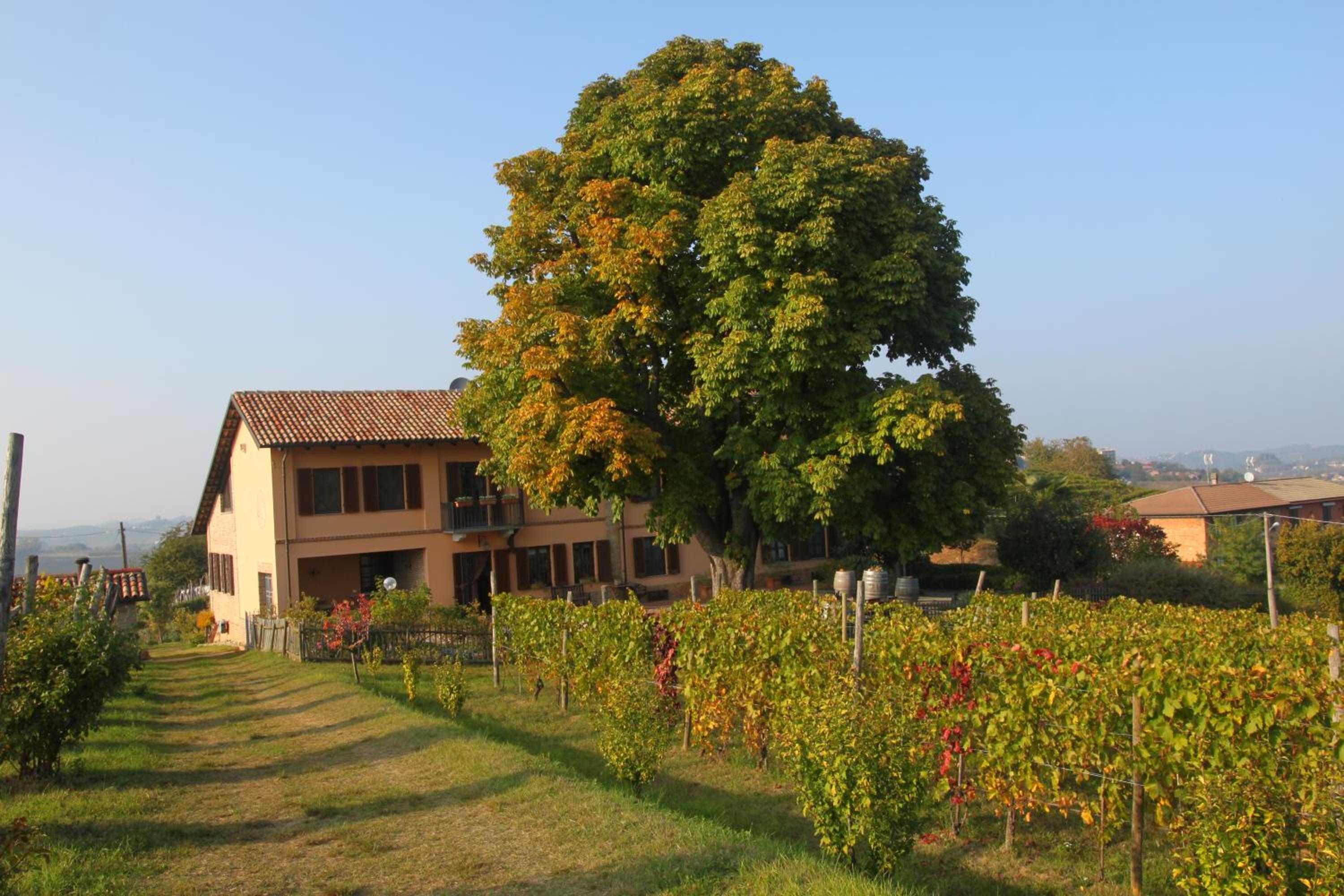 Agriturismo Cascina del Rosone view 5