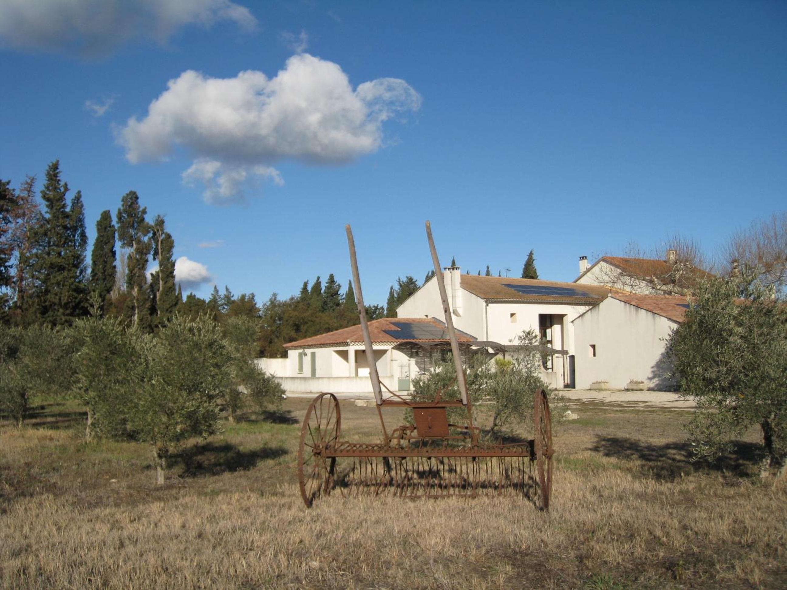 Photo 48