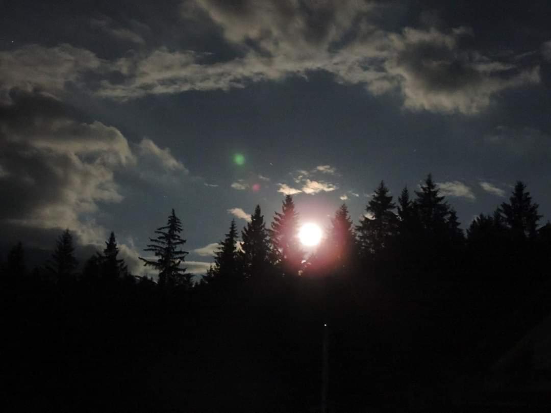 Photo 45