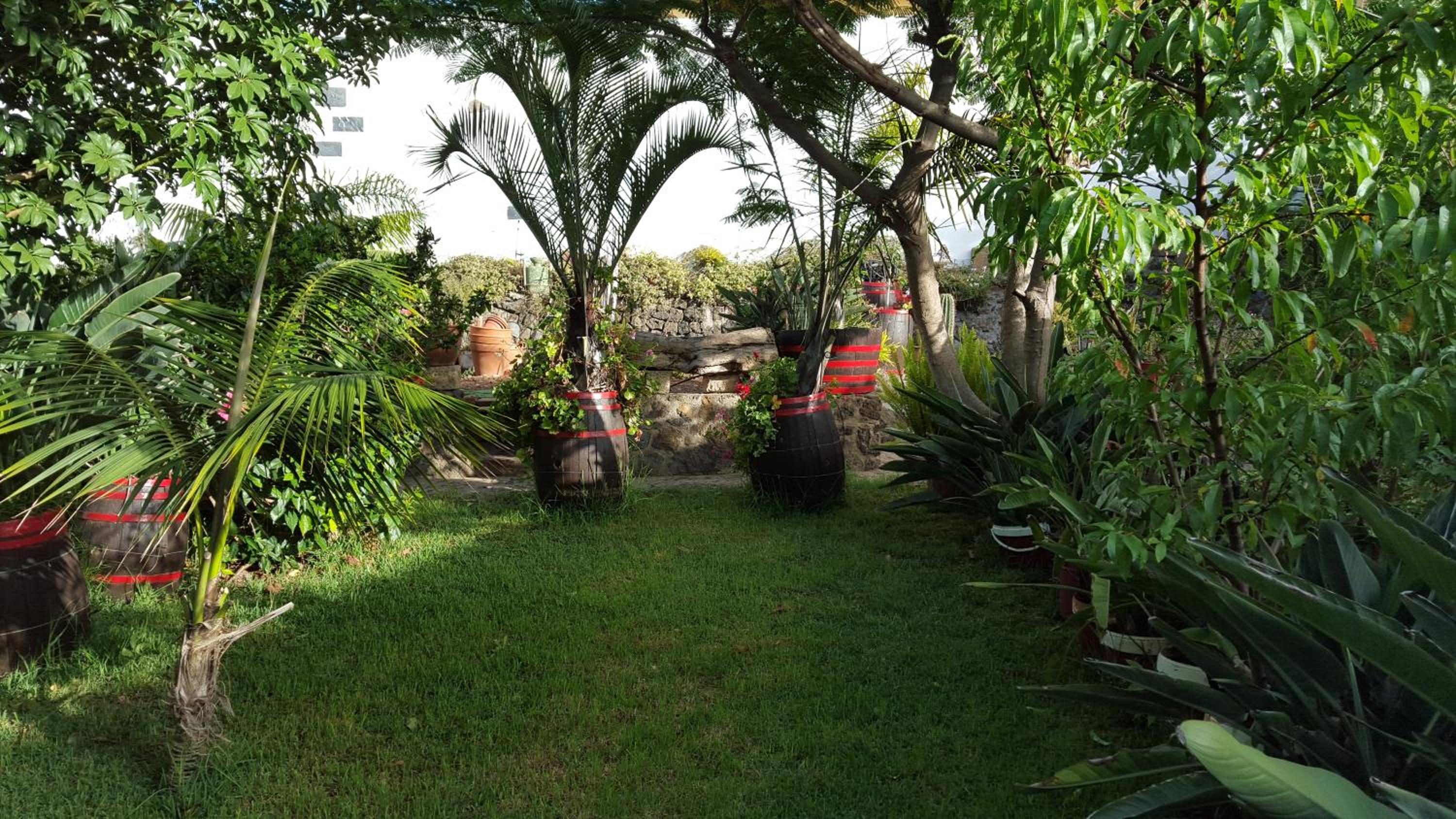 Finca Paraiso Casa Rural Tenerife