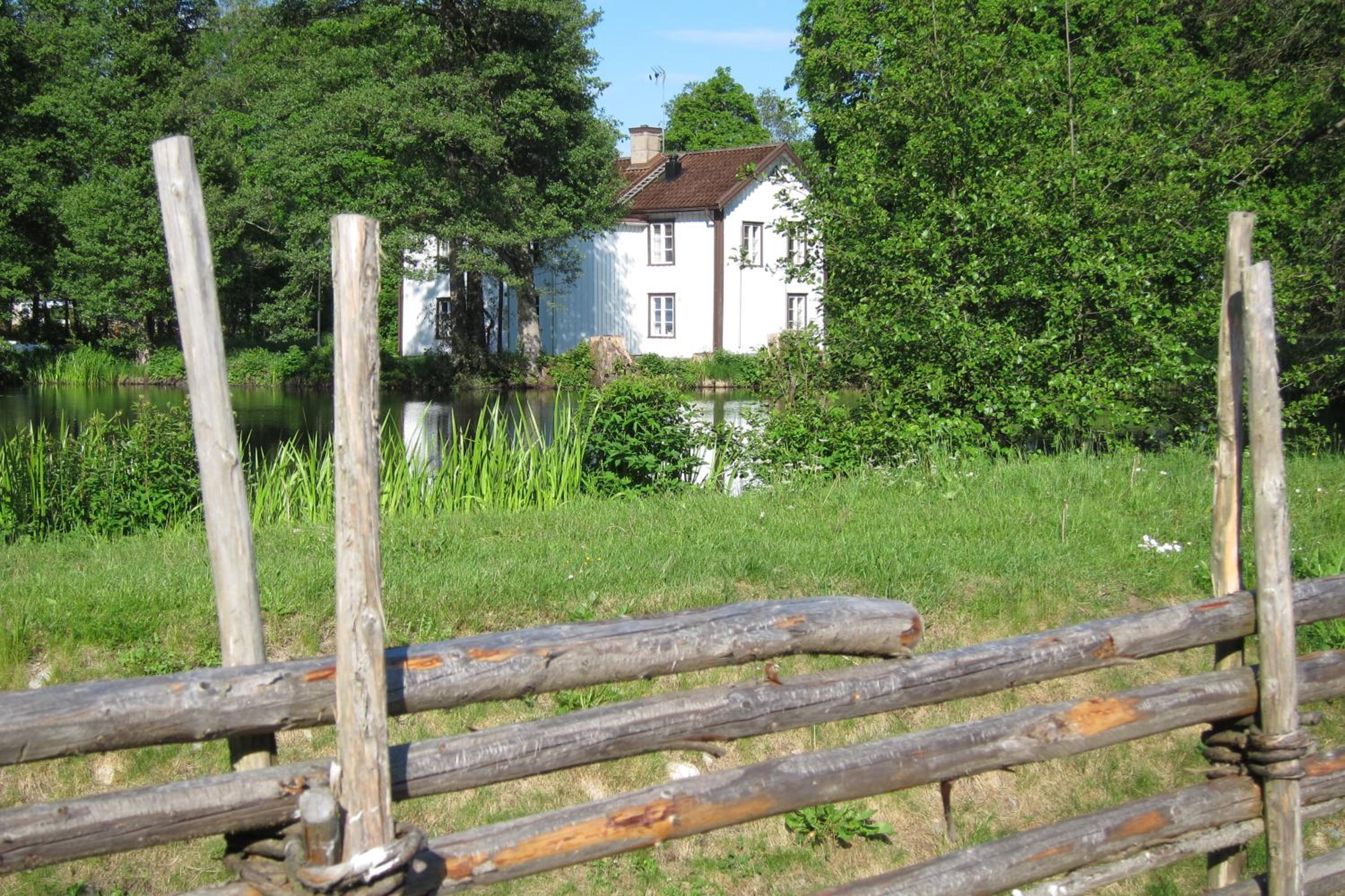 Photo 14