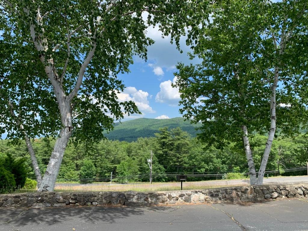 Travelodge by Wyndham Lake George NY, Billede 26