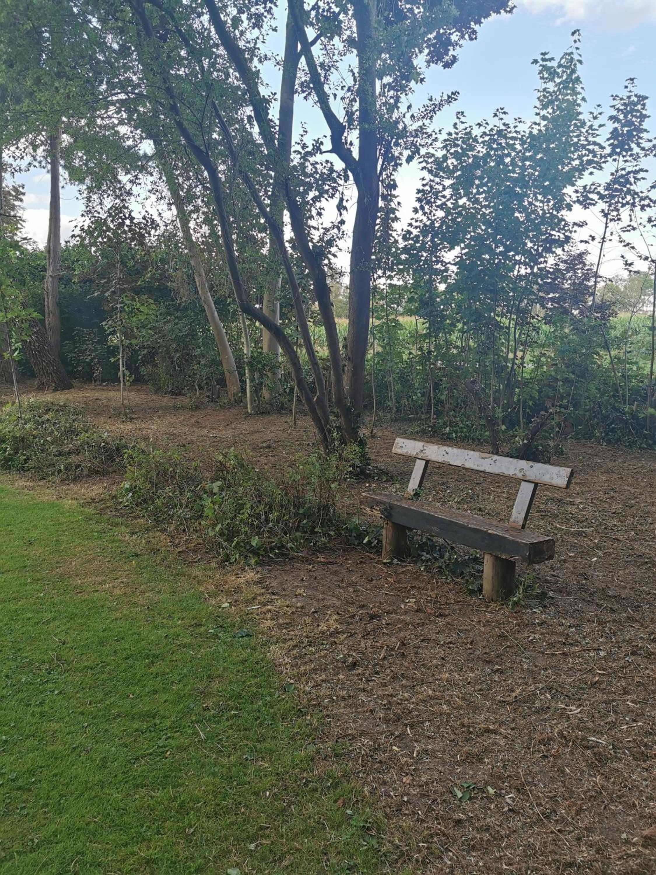 Photo 34