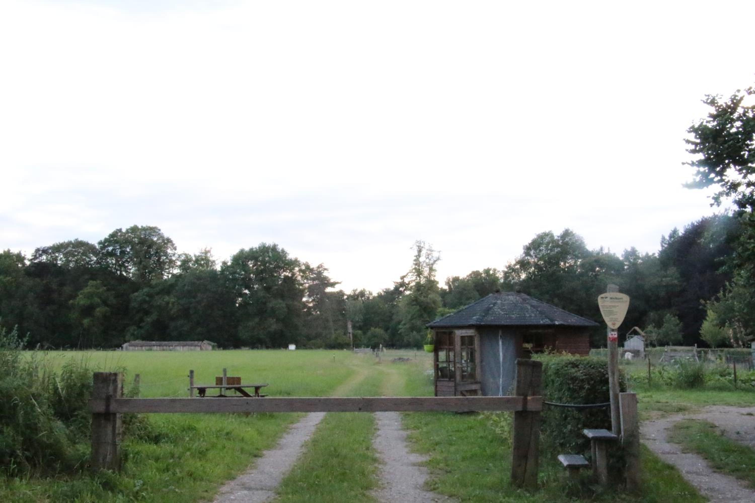 Photo 29
