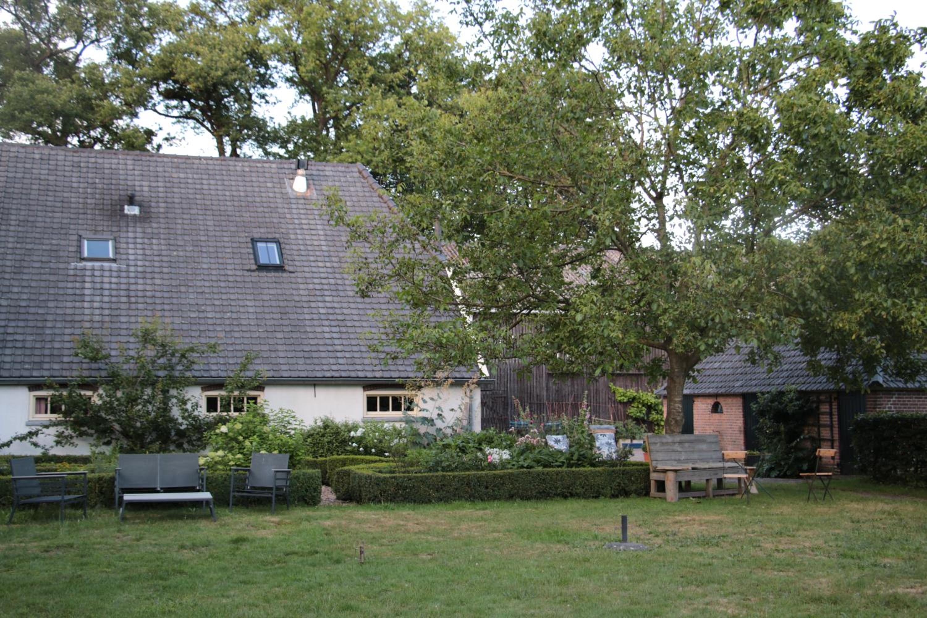 Photo 6