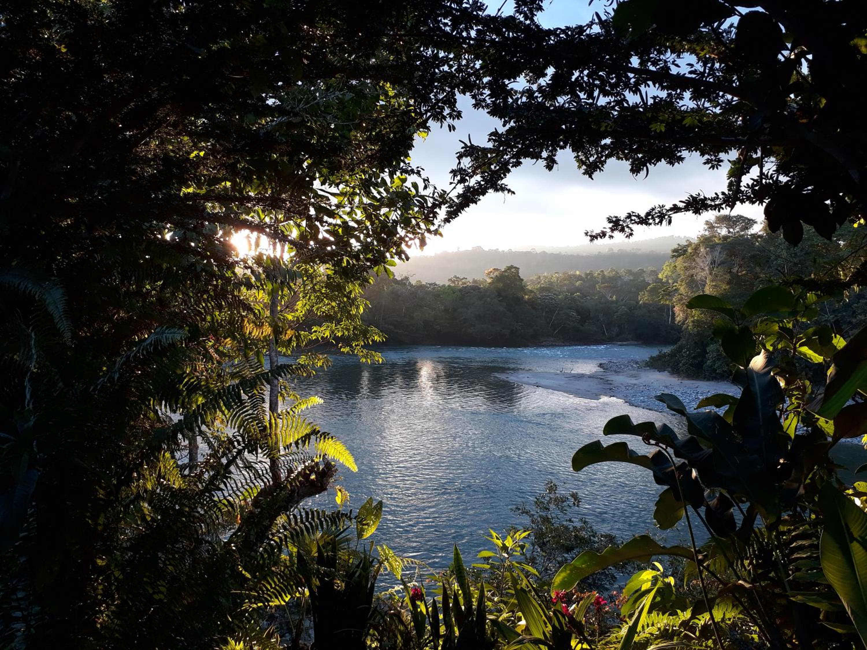 Banana Lodge view 2