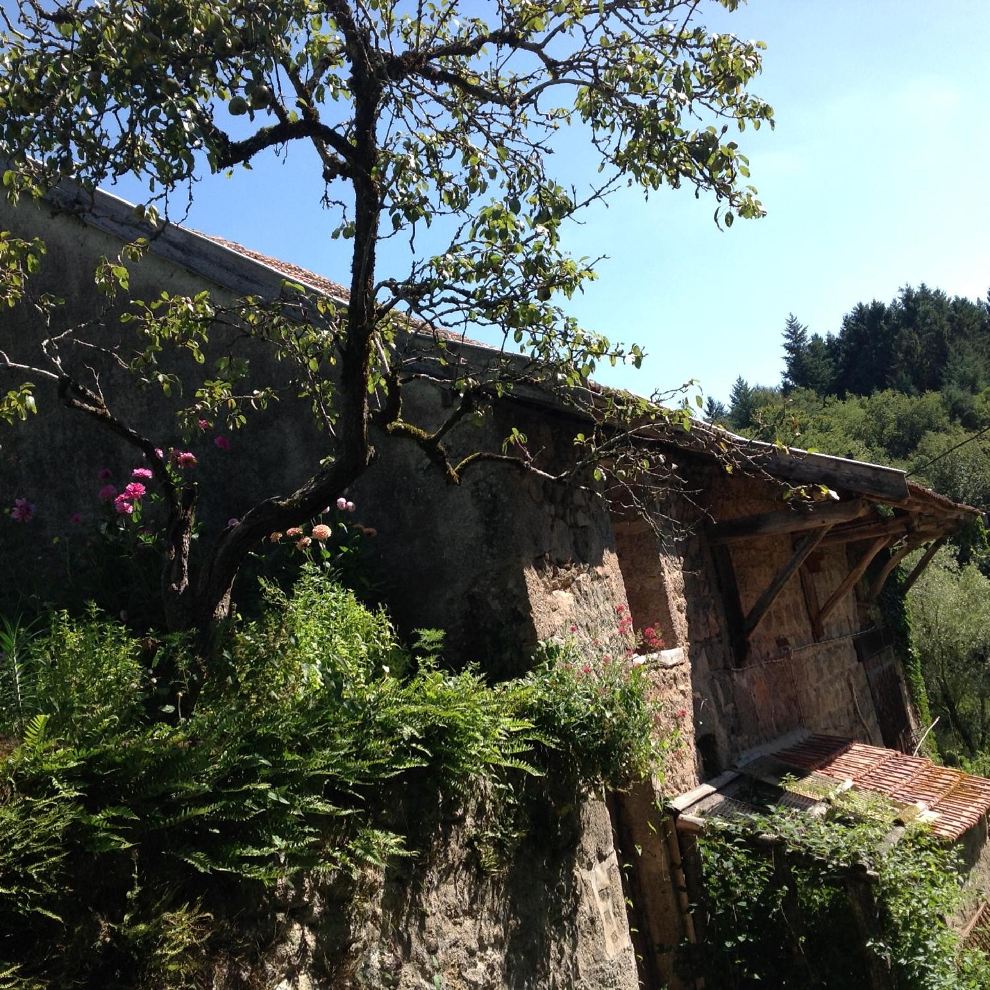 Photo 21