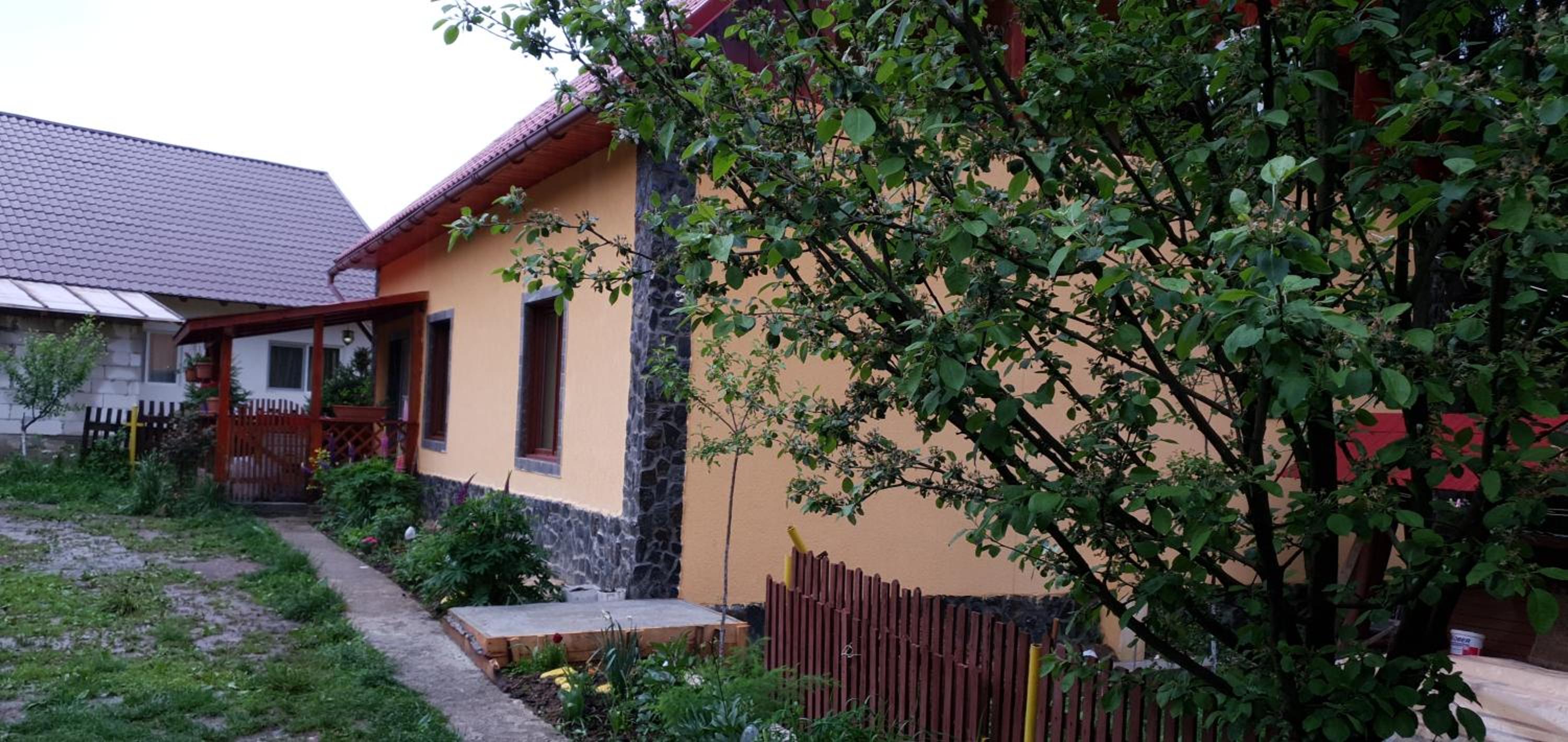 Photo 42