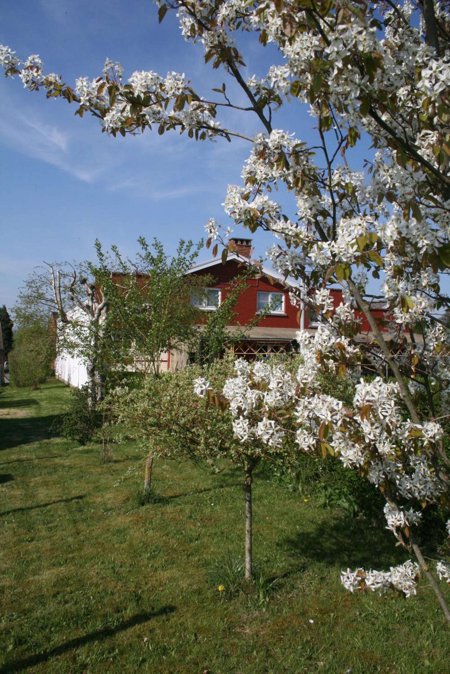 La clef de bois, photo 2