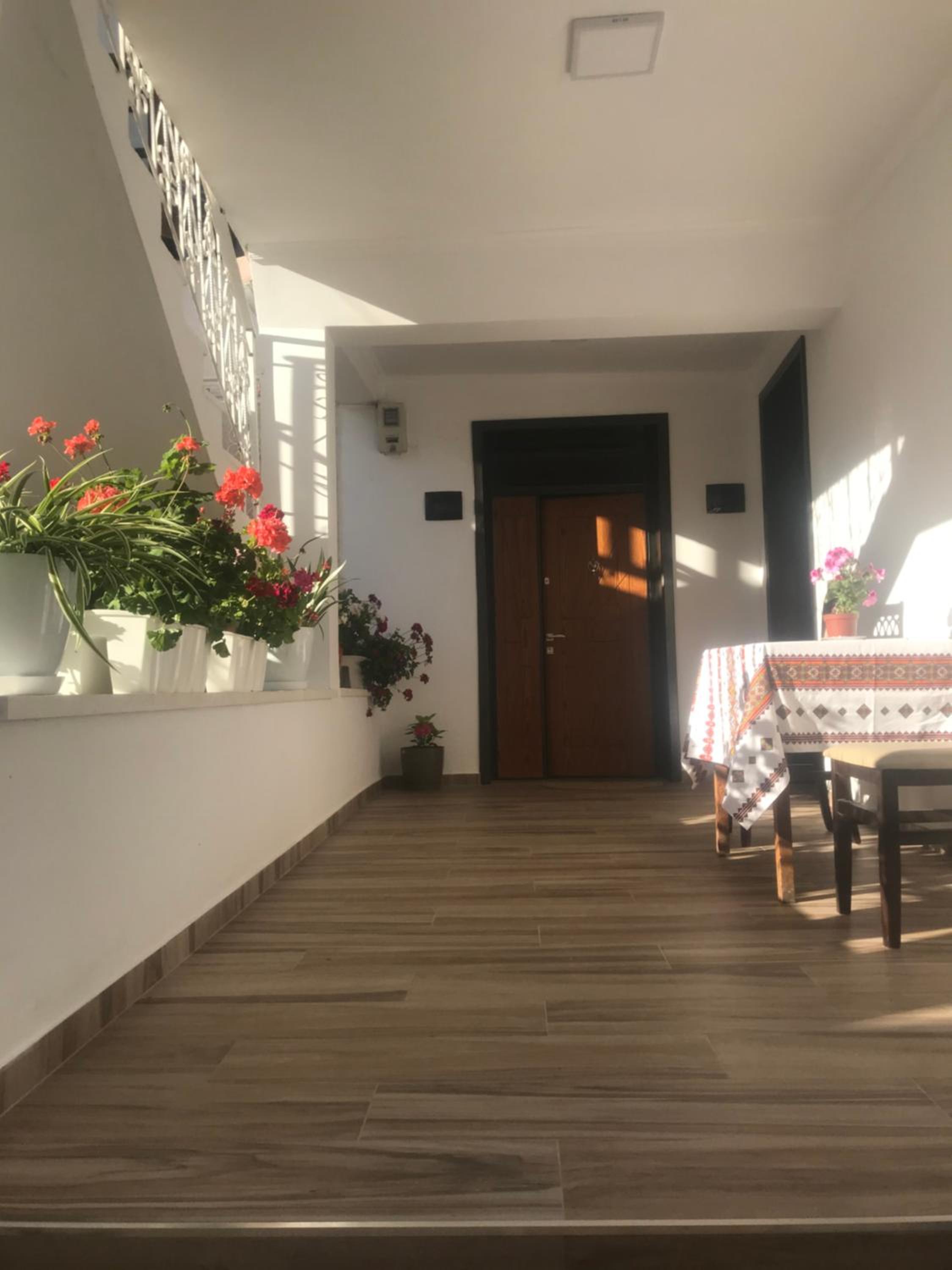 Apartment Koka