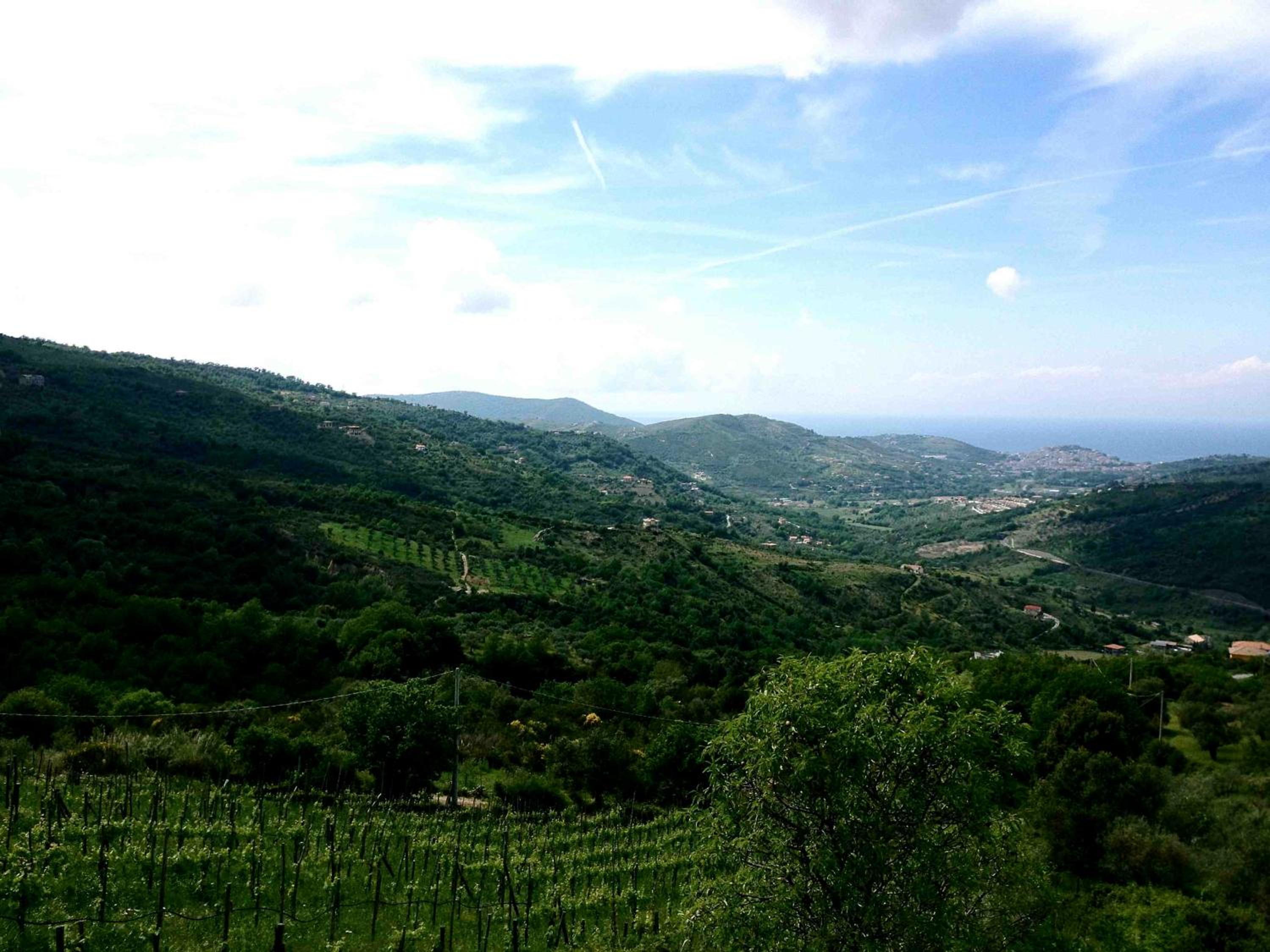 Villa Nigro