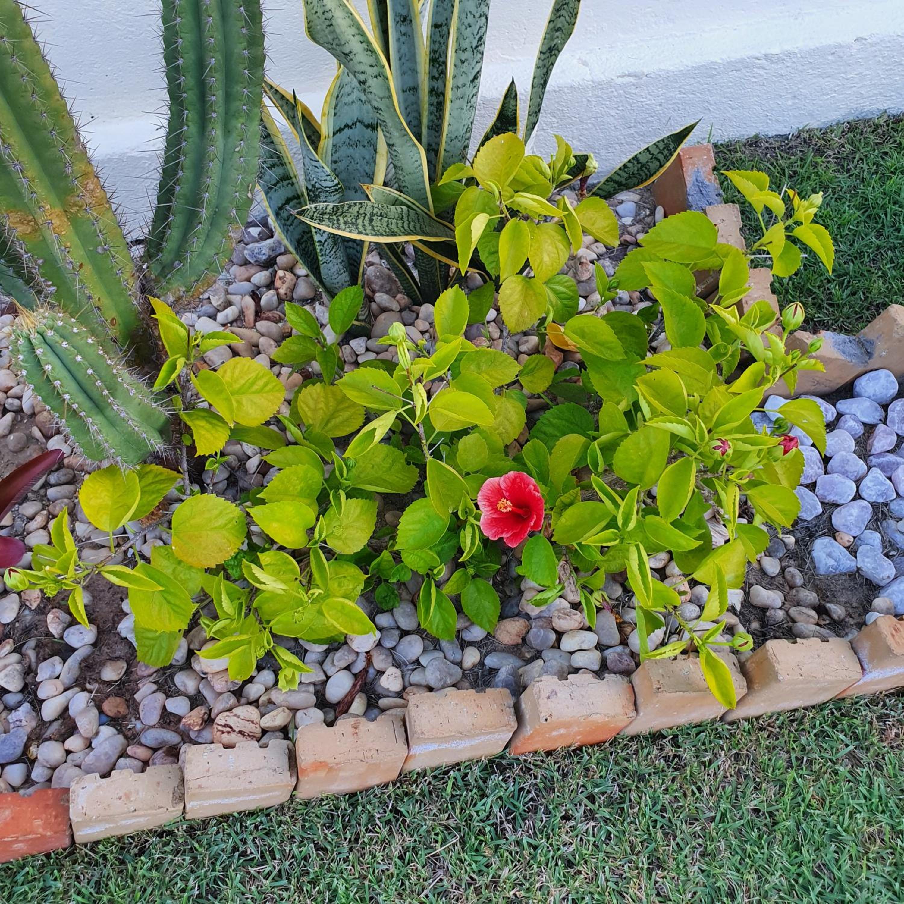 Casa na Praia de Águas Belas - Caponga