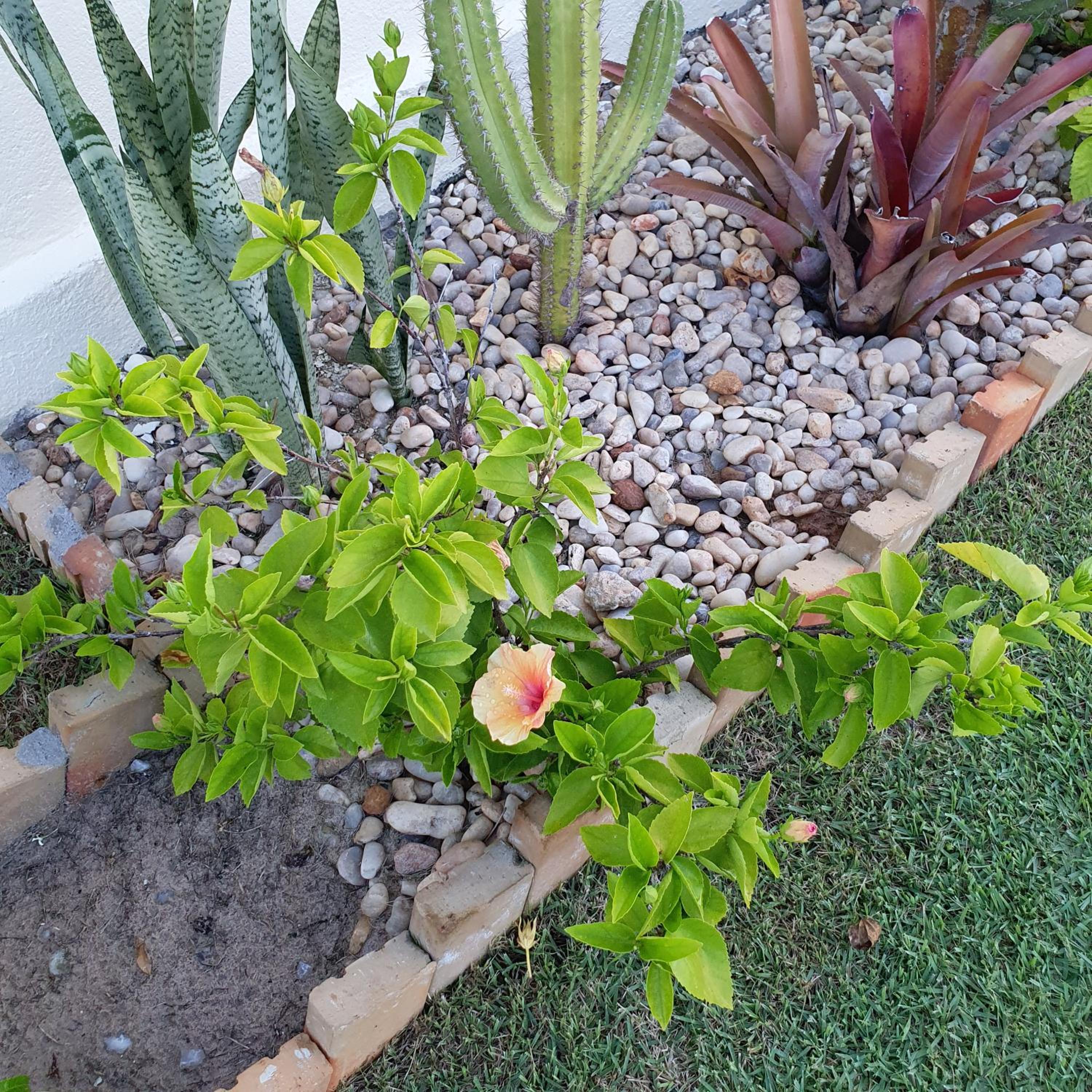 Casa na Praia de Águas Belas - Caponga