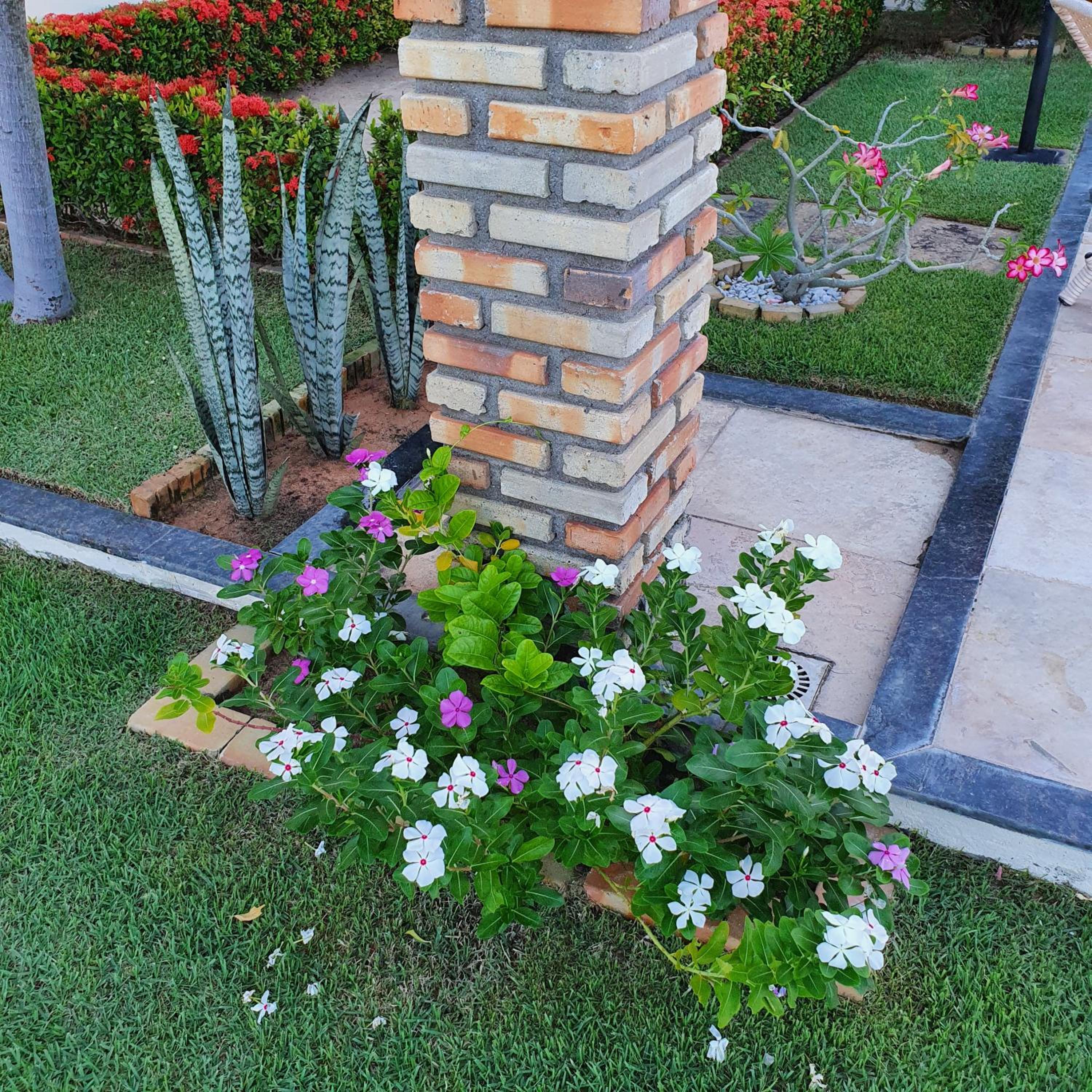 Casa na Praia de Águas Belas - Caponga