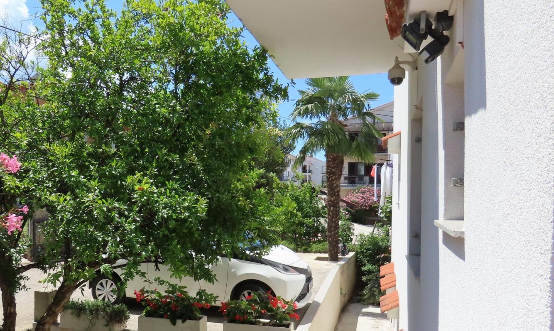 Apartments Kamelija view 2