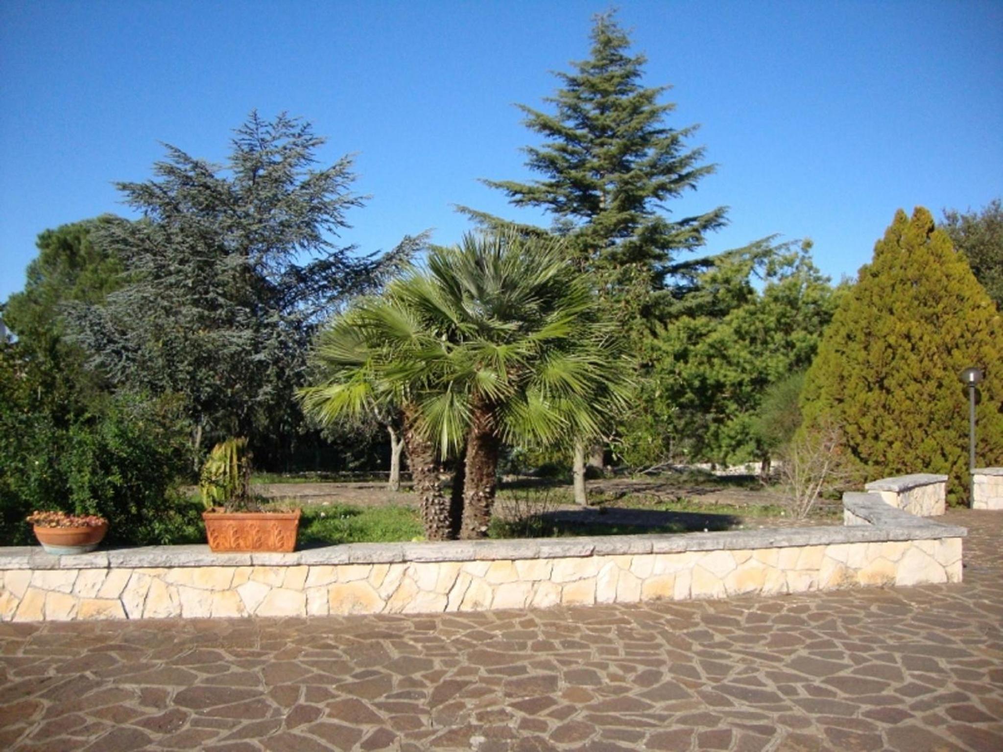 Al Boschetto view 2