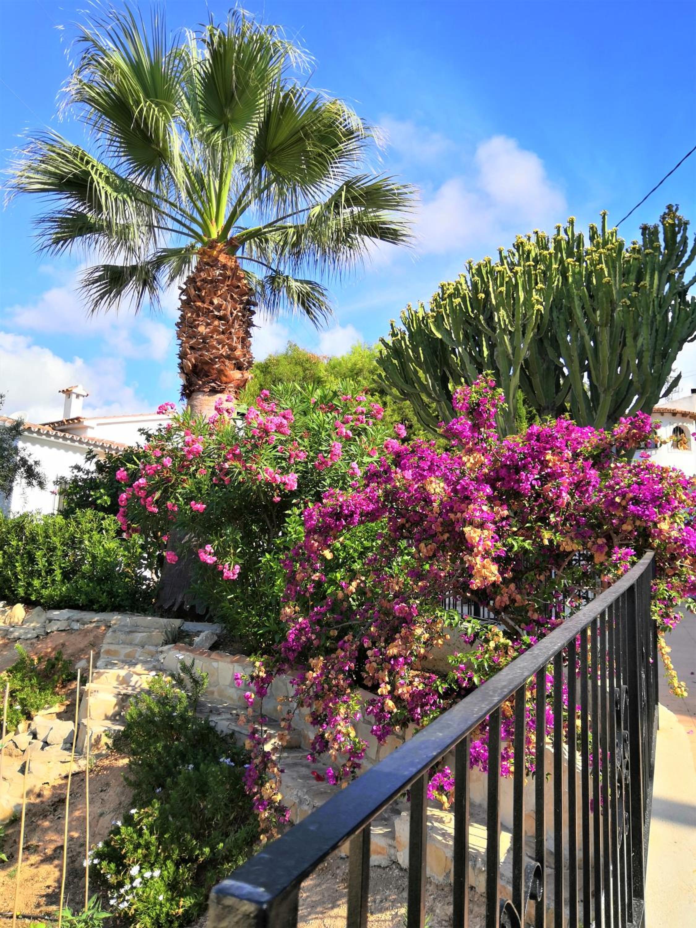 Villa ARMONIA