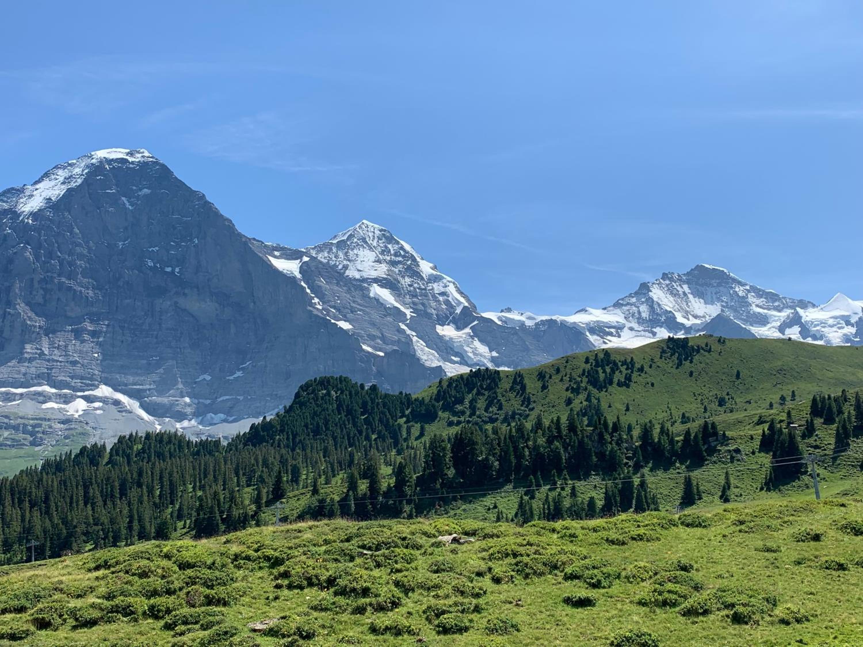 Fluehblüemli
