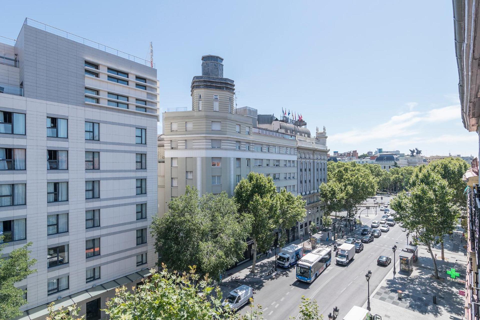 Colectia Stays Atocha