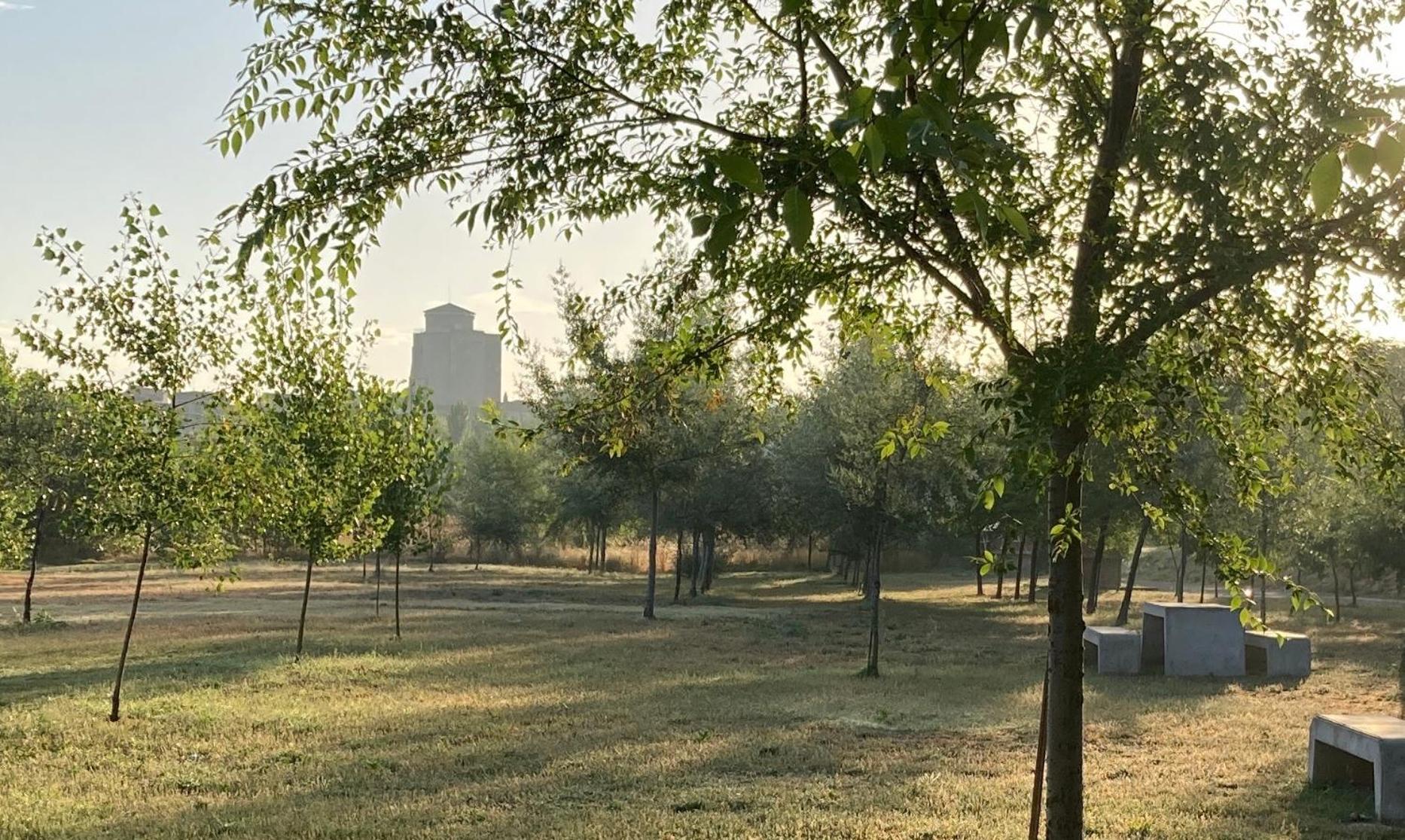 Photo 27