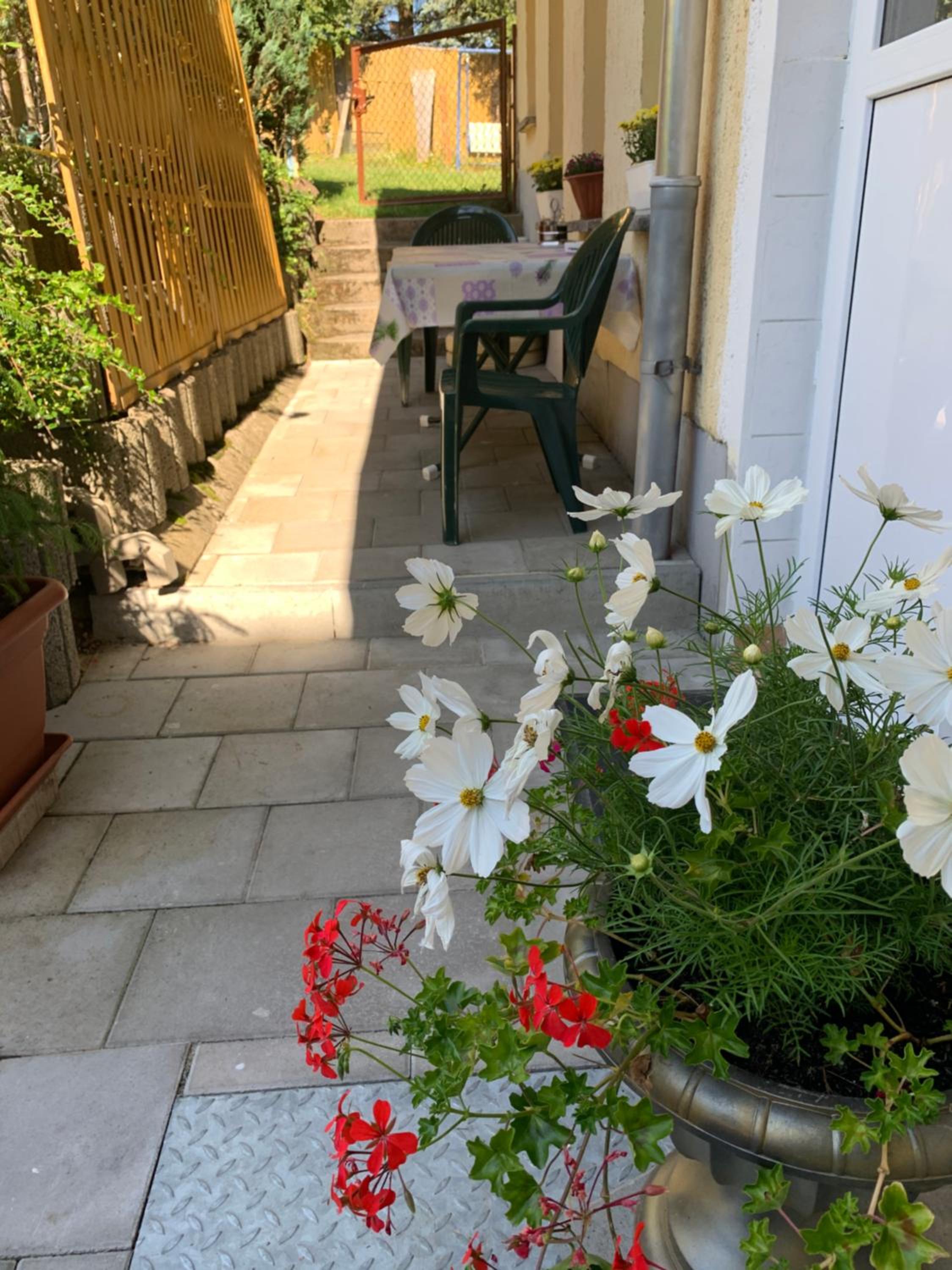 Ferienwohnung Goldener Drache