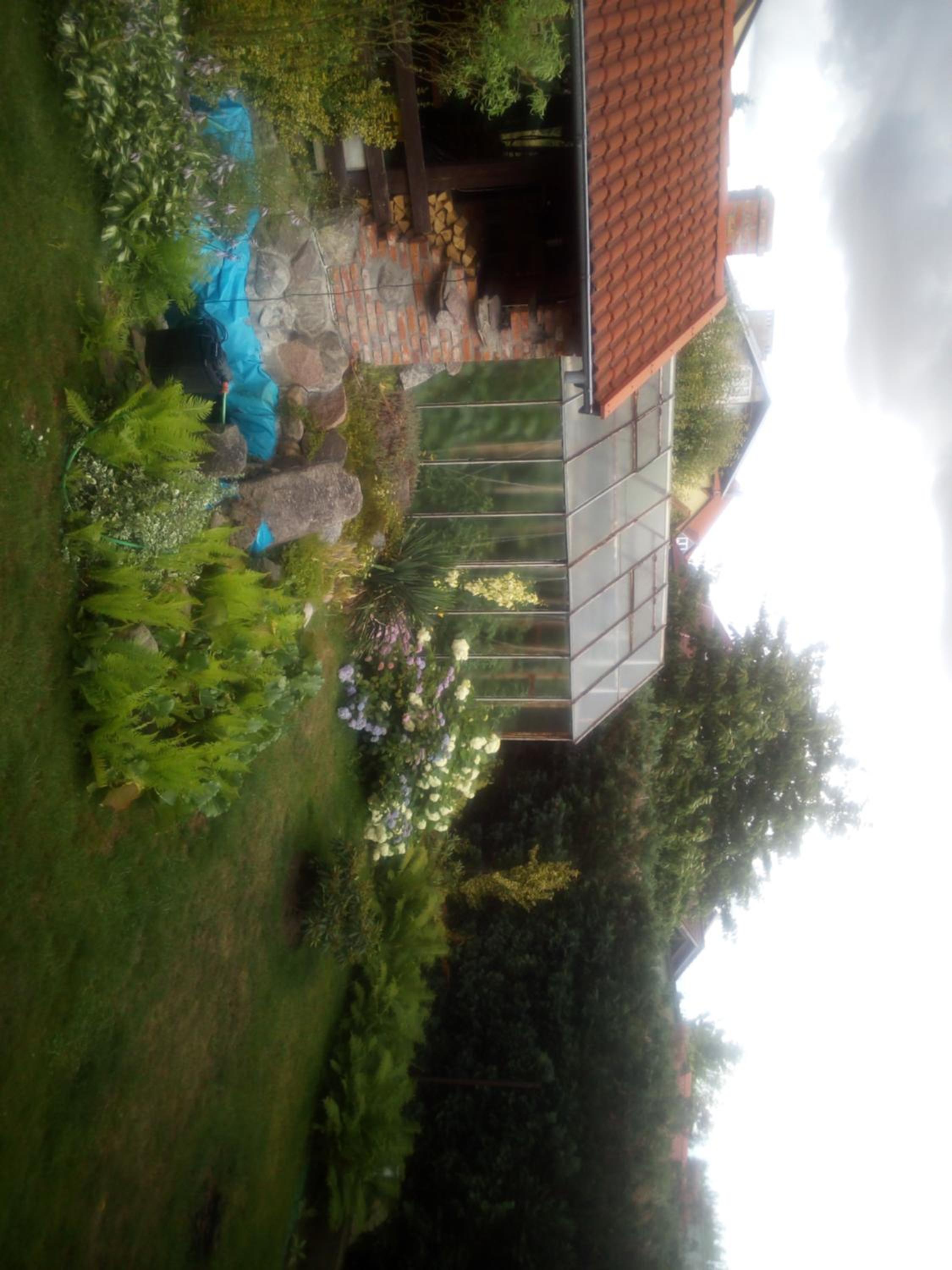 Photo 54