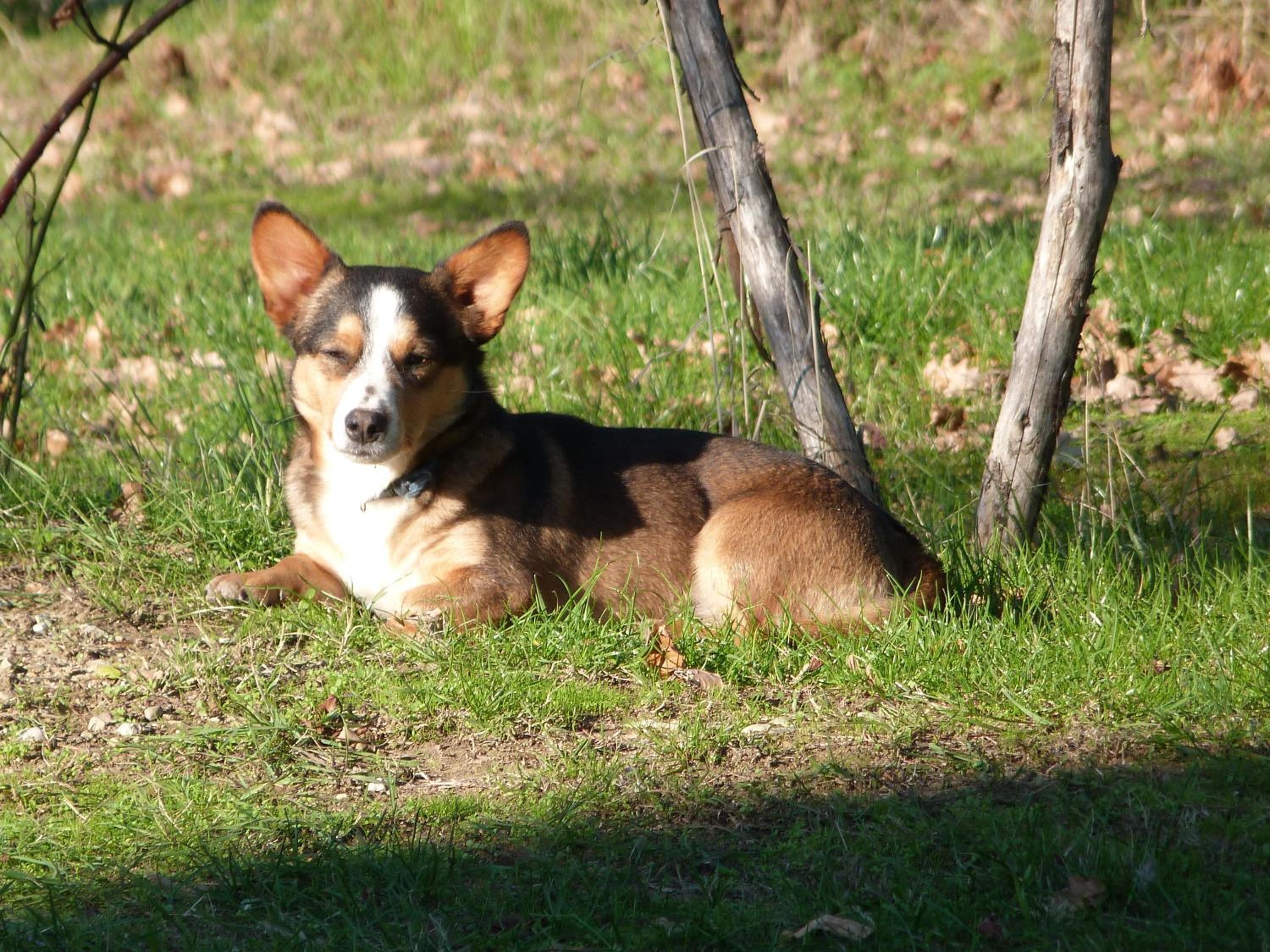 Photo 20