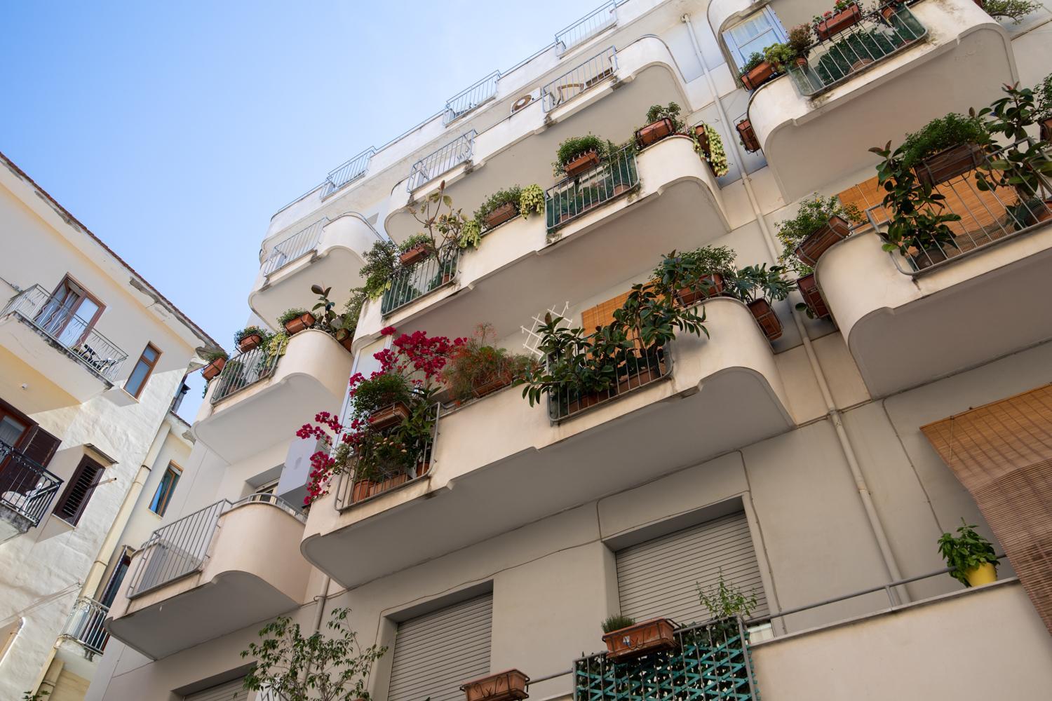 Casa La Perla