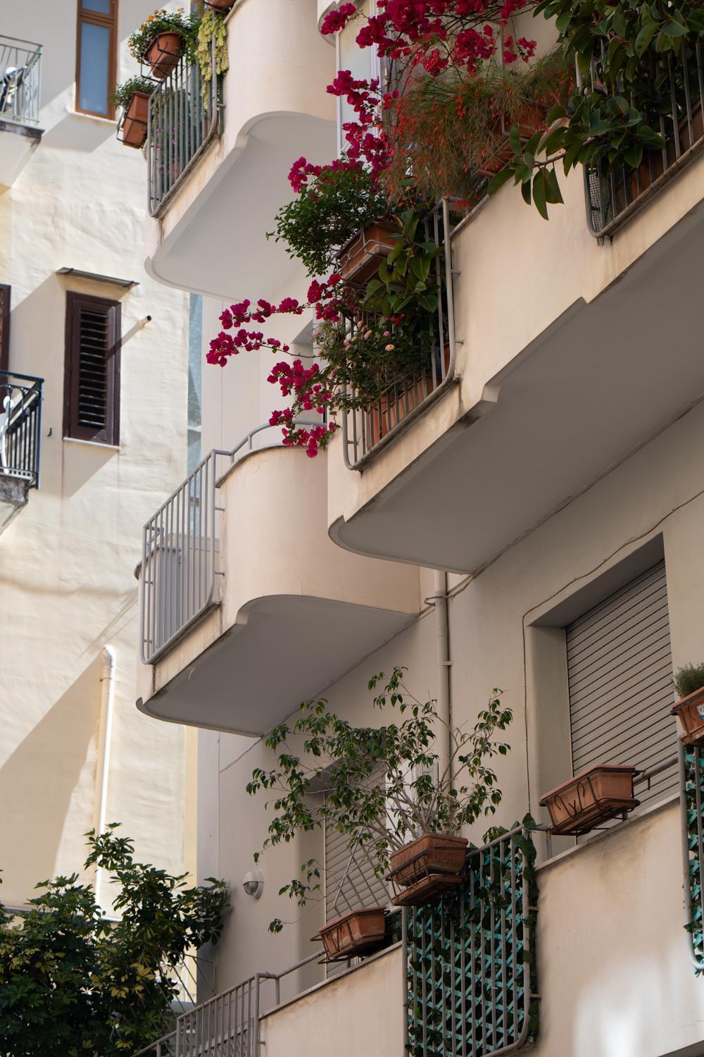 Casa La Perla