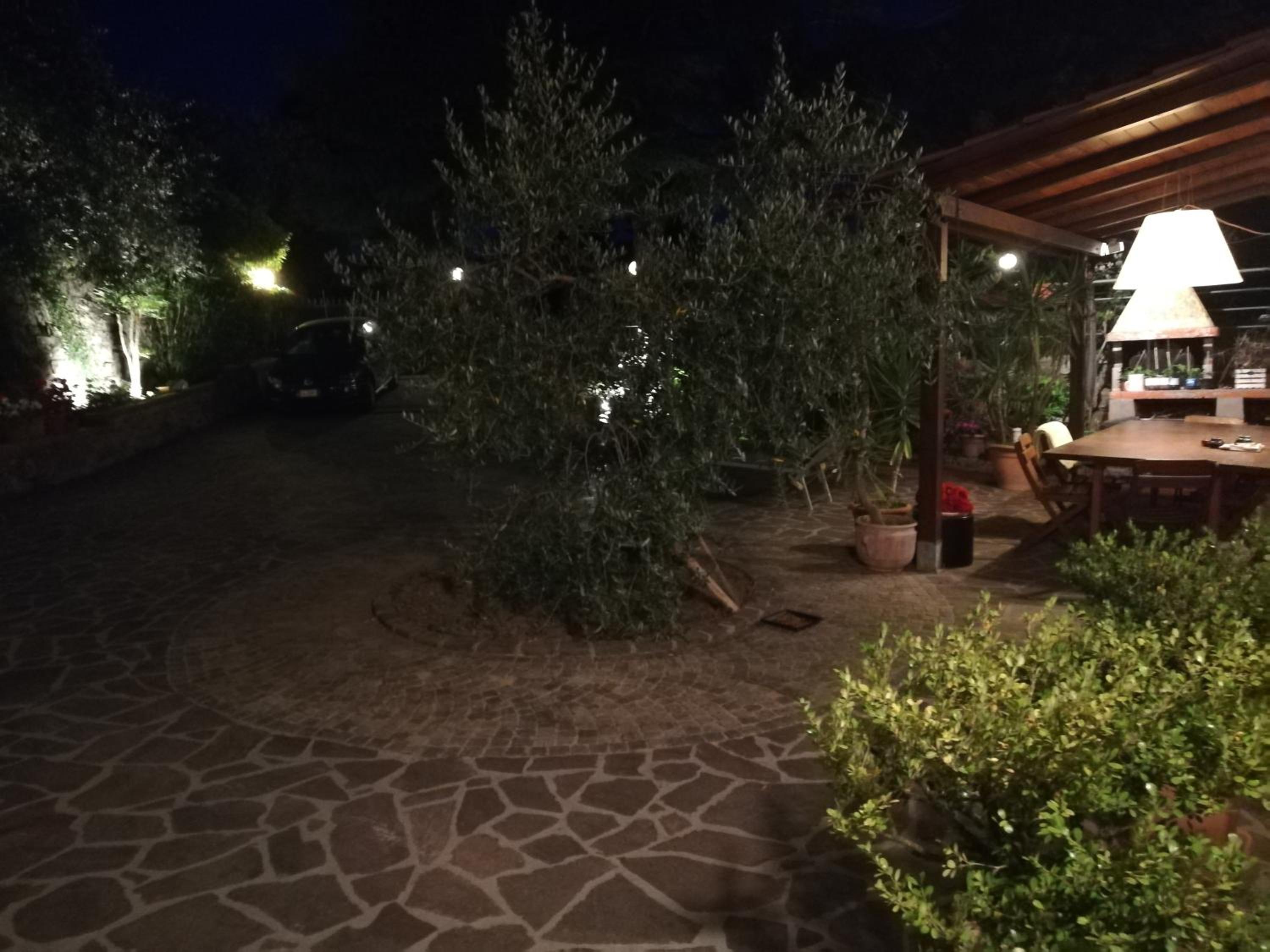 vacanza nel verde view 4