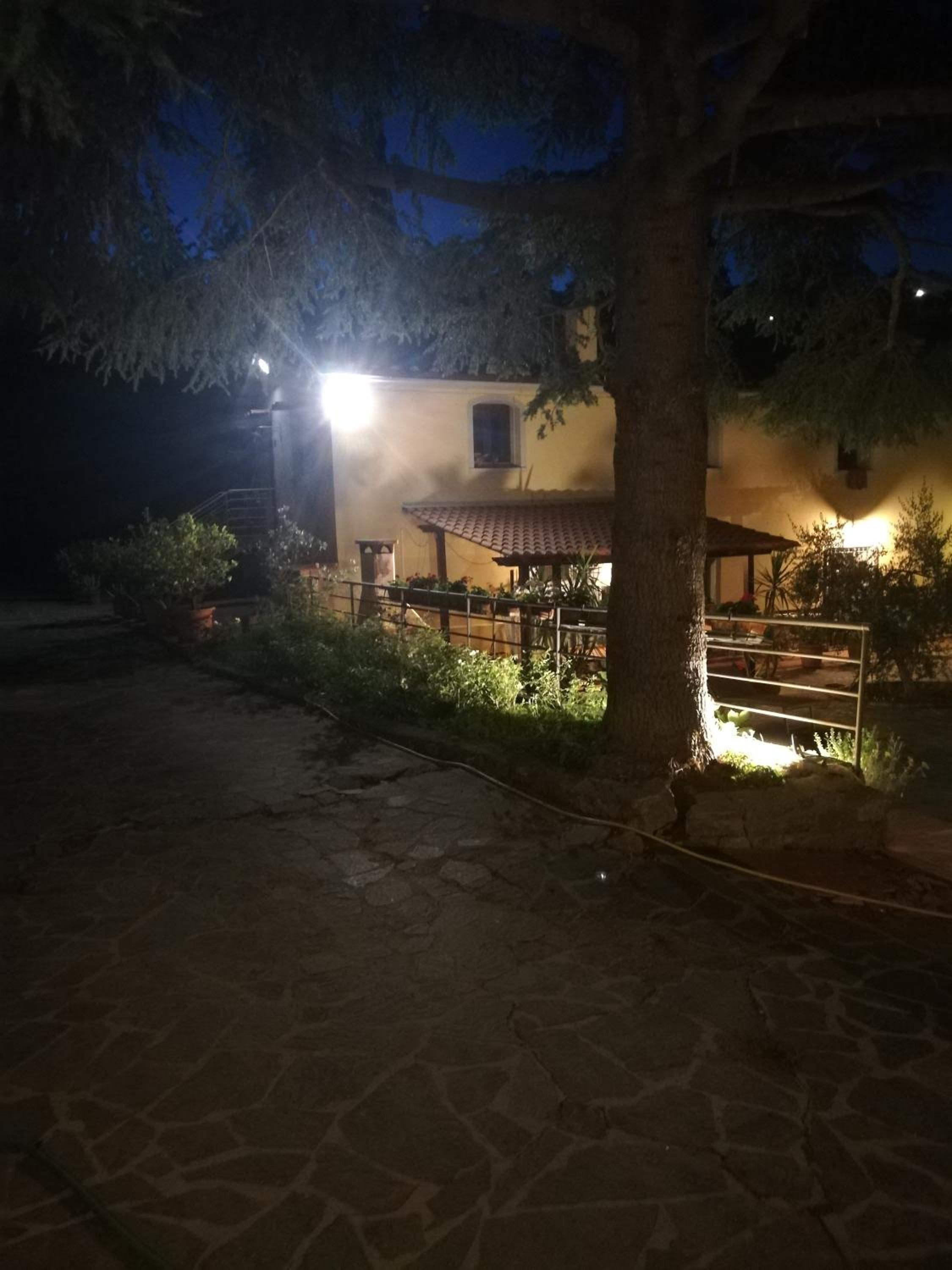 vacanza nel verde view 5