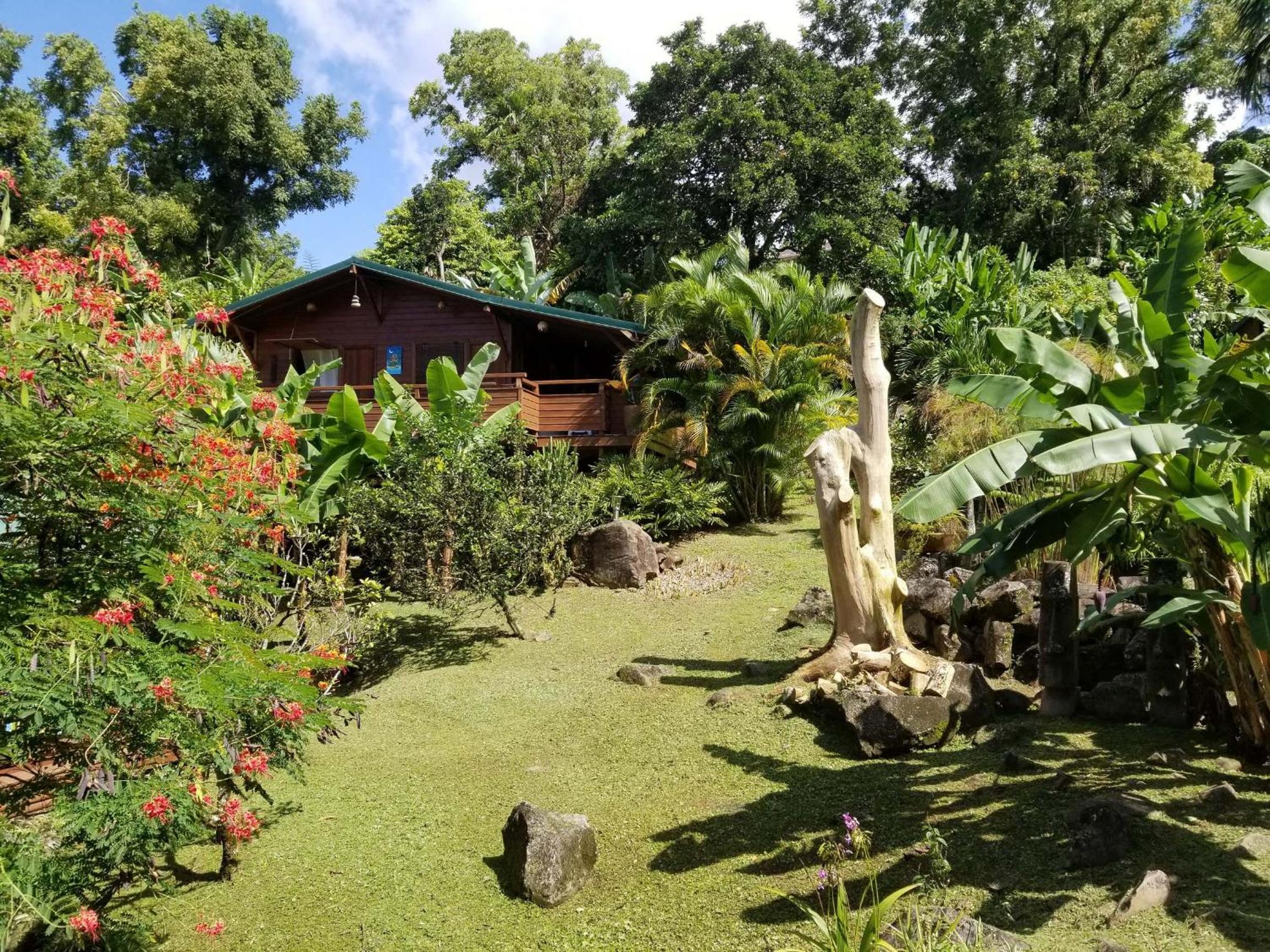 Les Bananes Vertes Ecolodges - Photo 31
