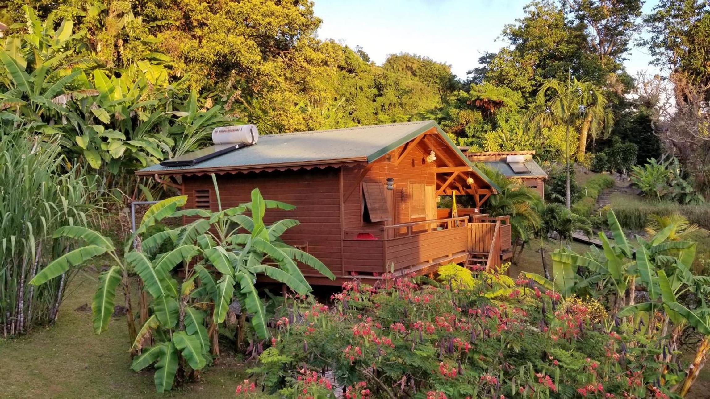 Les Bananes Vertes Ecolodges - Photo 34