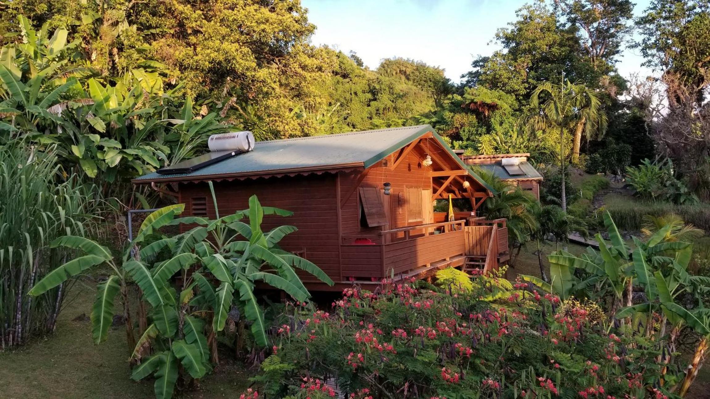 Les Bananes Vertes Ecolodges - Photo 35