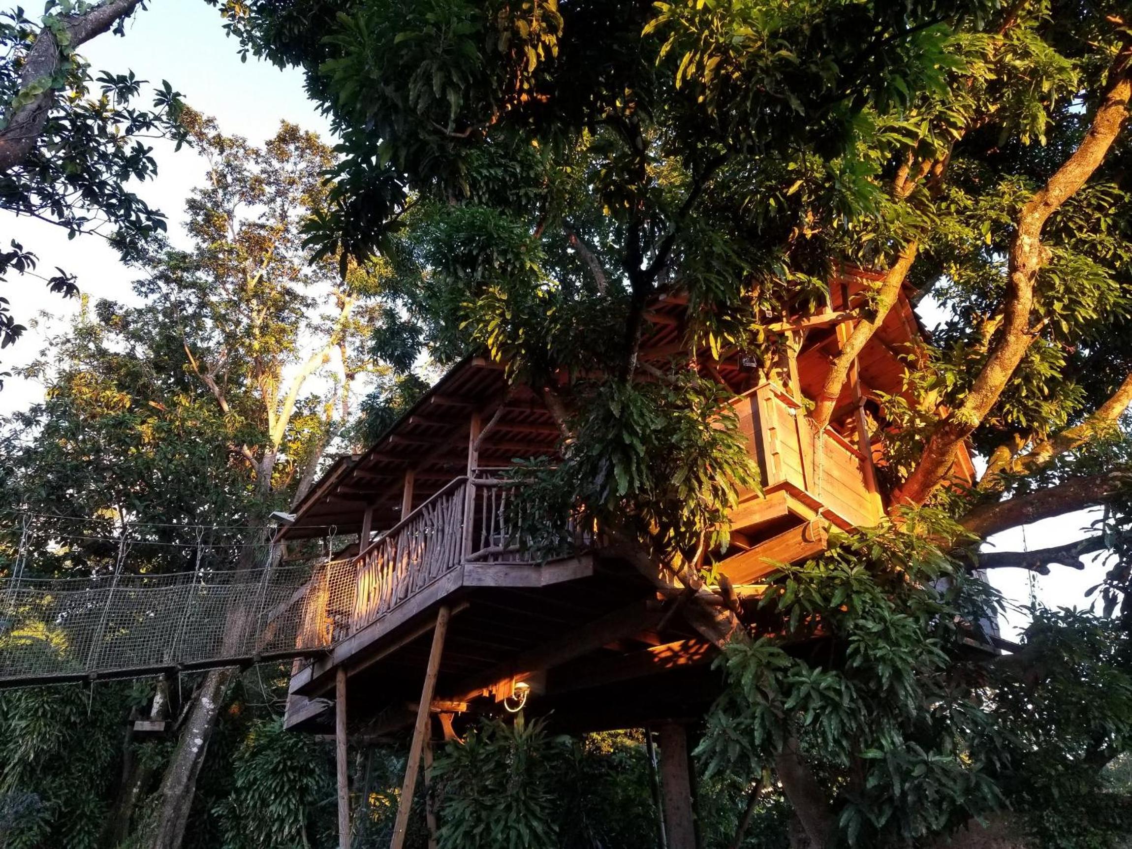 Les Bananes Vertes Ecolodges - Photo 22