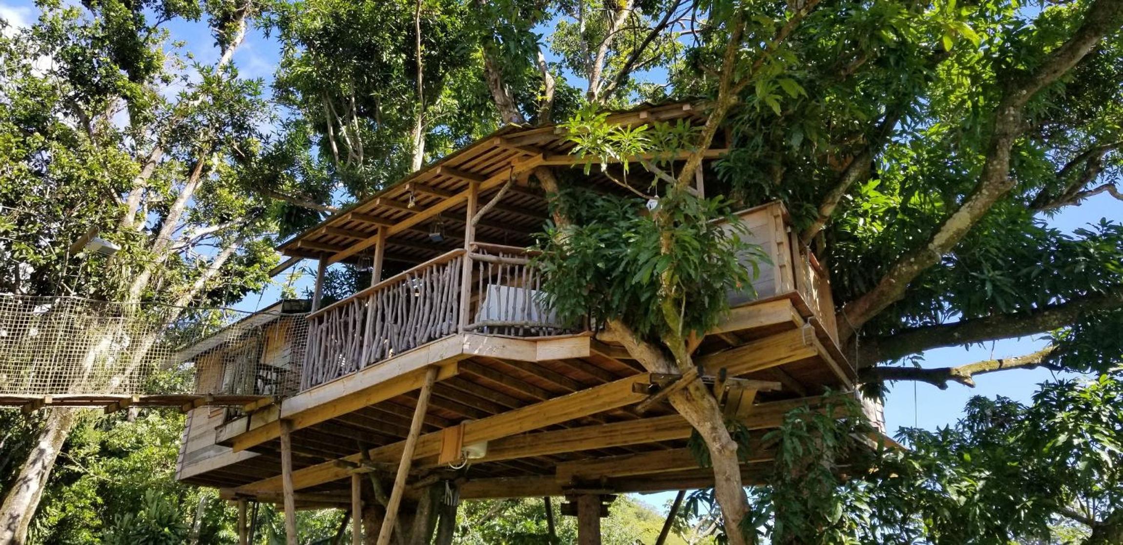 Les Bananes Vertes Ecolodges - Photo 23