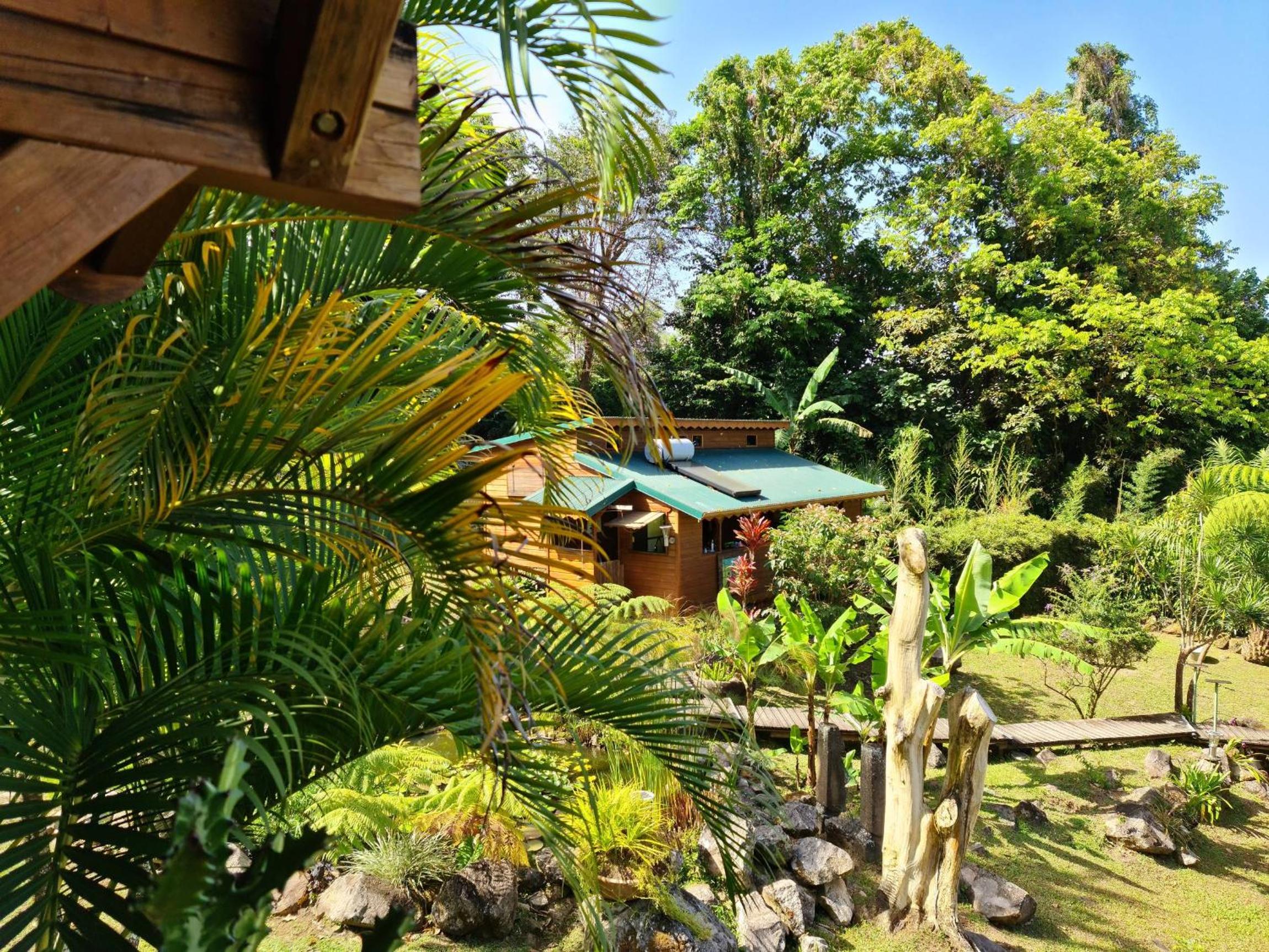 Les Bananes Vertes Ecolodges - Photo 17