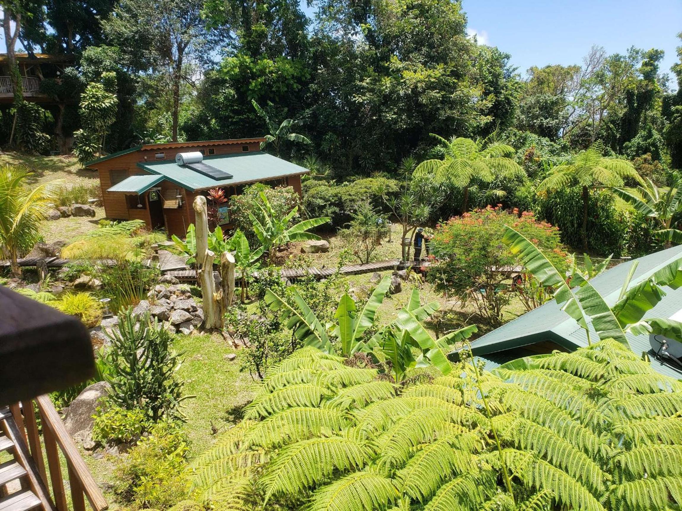 Les Bananes Vertes Ecolodges - Photo 19