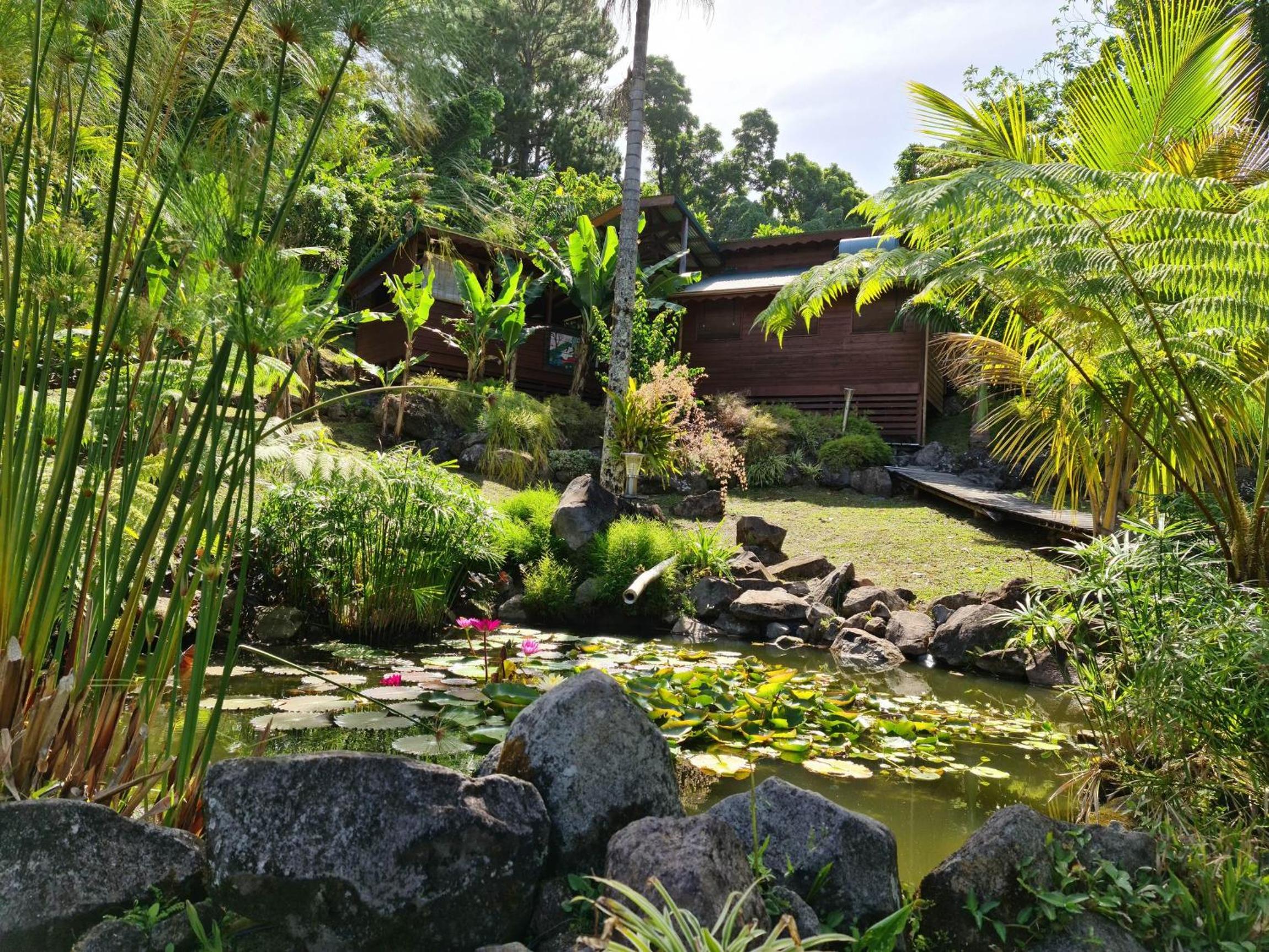 Les Bananes Vertes Ecolodges - Photo 4
