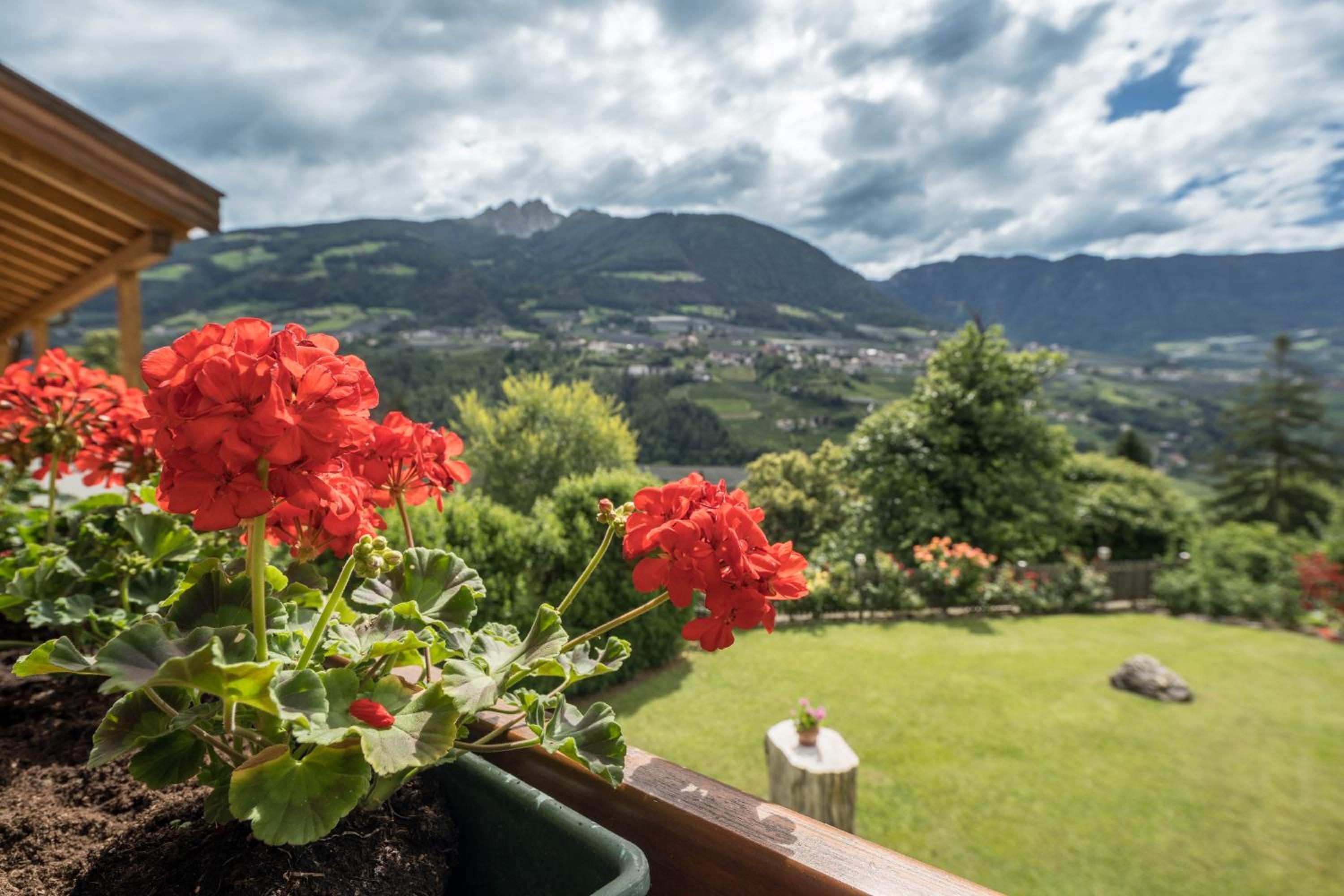 Tischlerhof - Typ A mit Balkon view 5