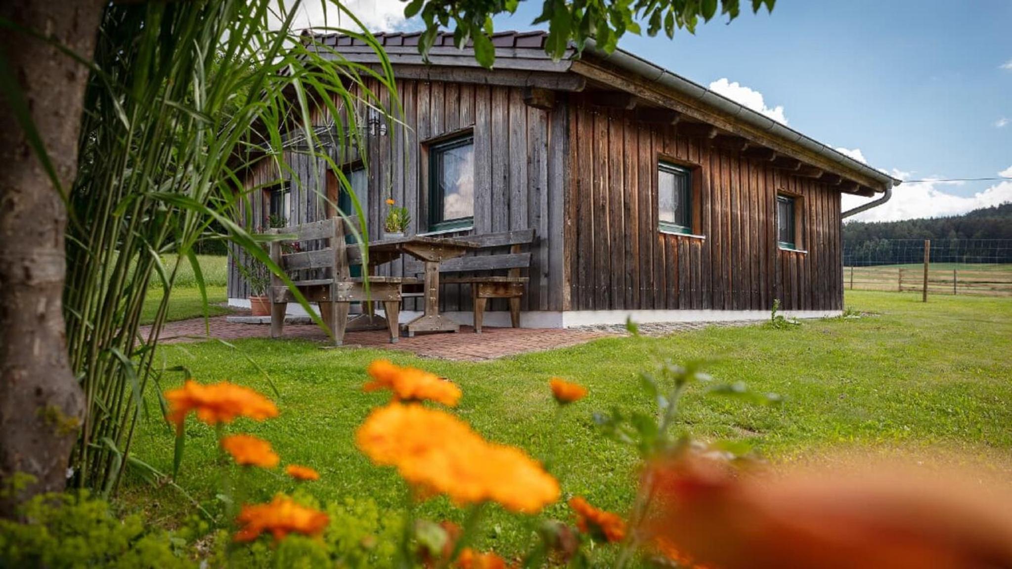 Ferienhaus Zillendorf view 3