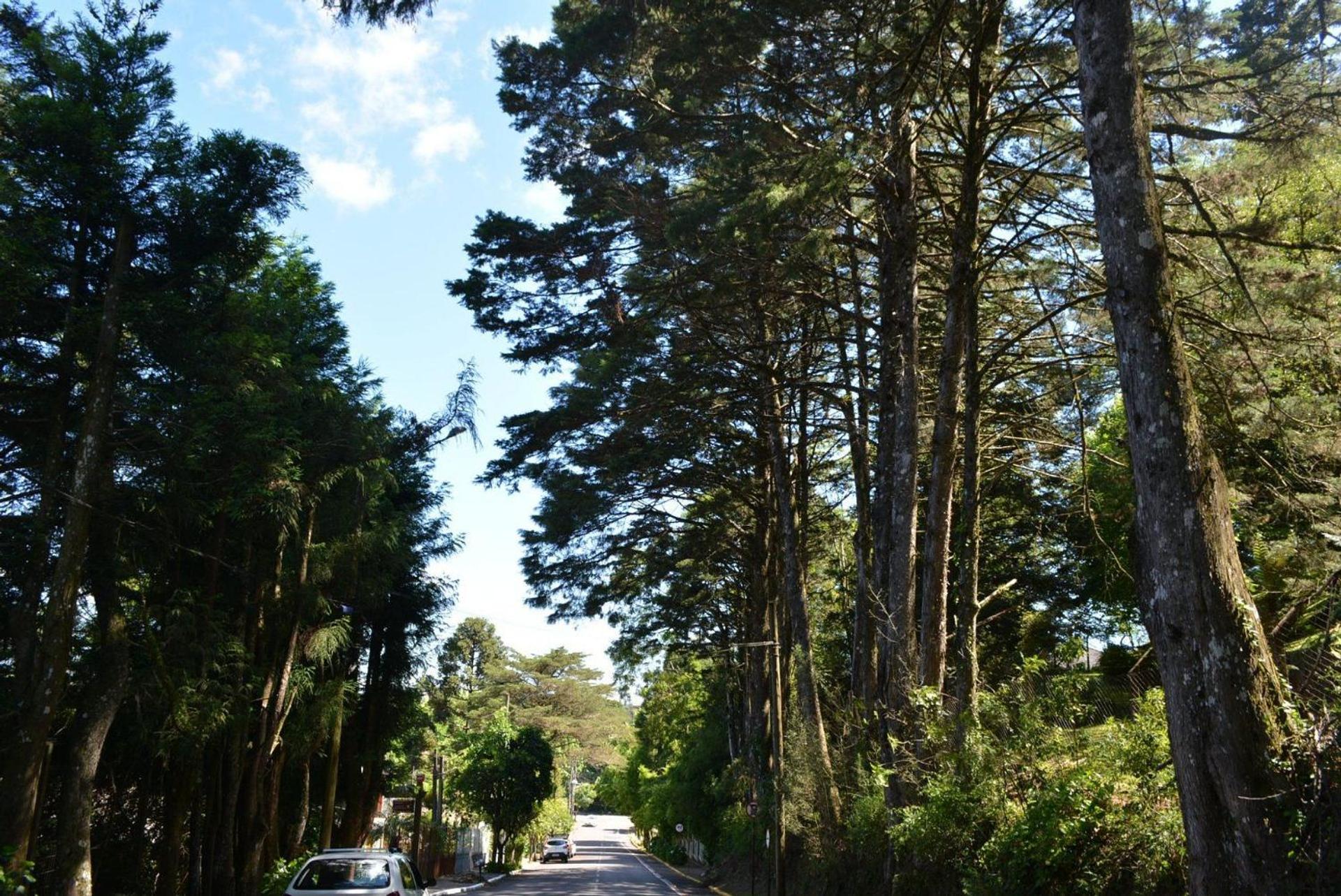 Locar-in Gramado - Residencial Maranello