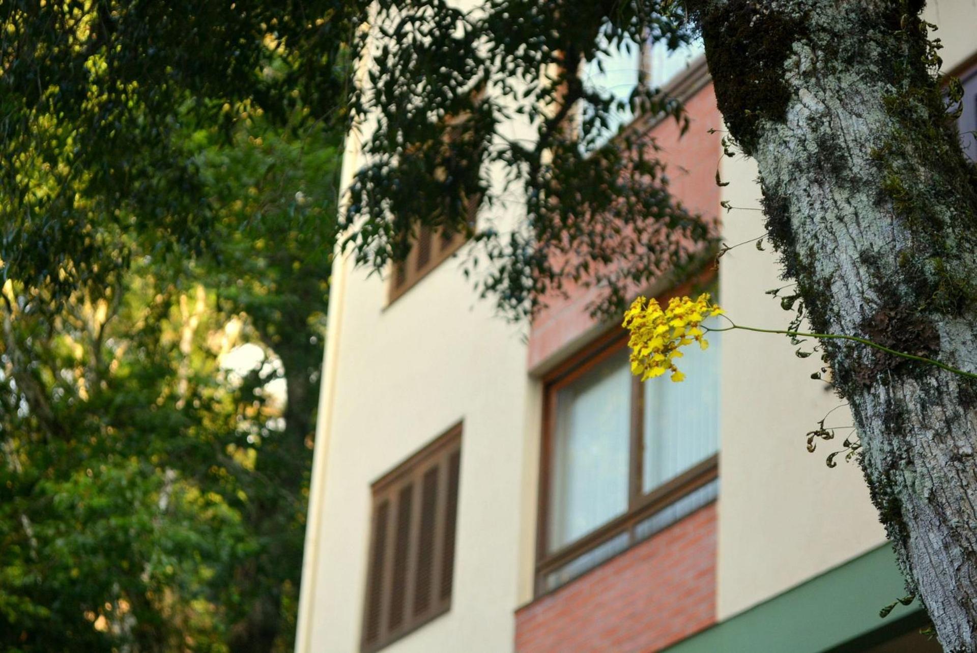 Locar-in Gramado - Residencial Maranello