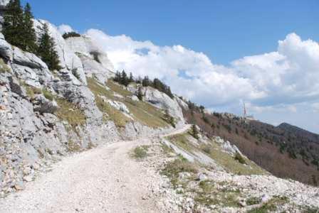 Photo 47
