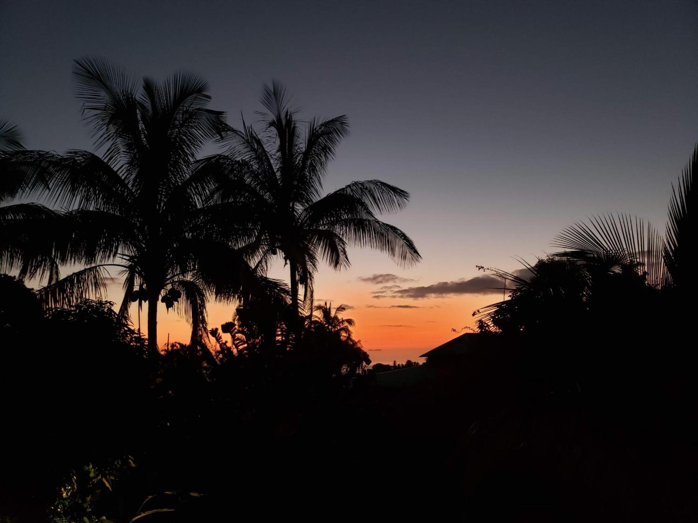 Les Bananes Vertes Ecolodges - Photo 107