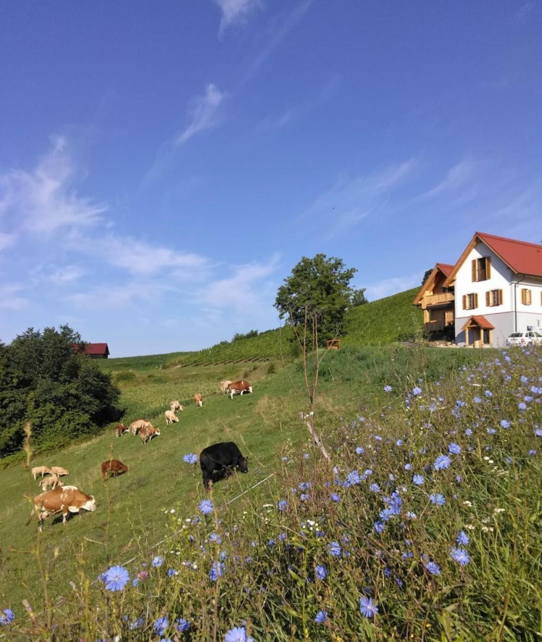 Bauernhof Gschmeidler